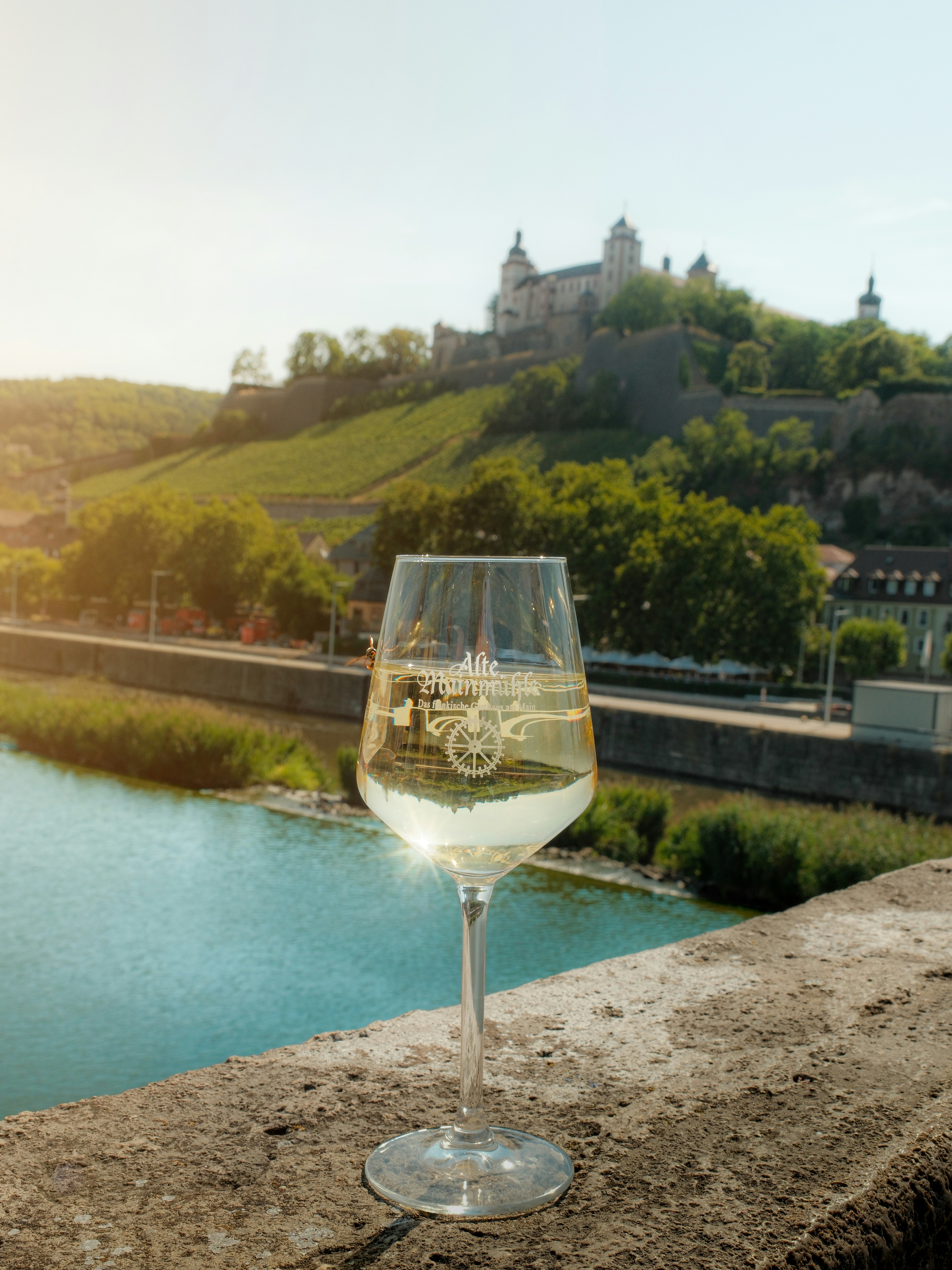 Bicchiere di vino bianco che si affaccia sulla fortezza di Marienberg, Würzburg