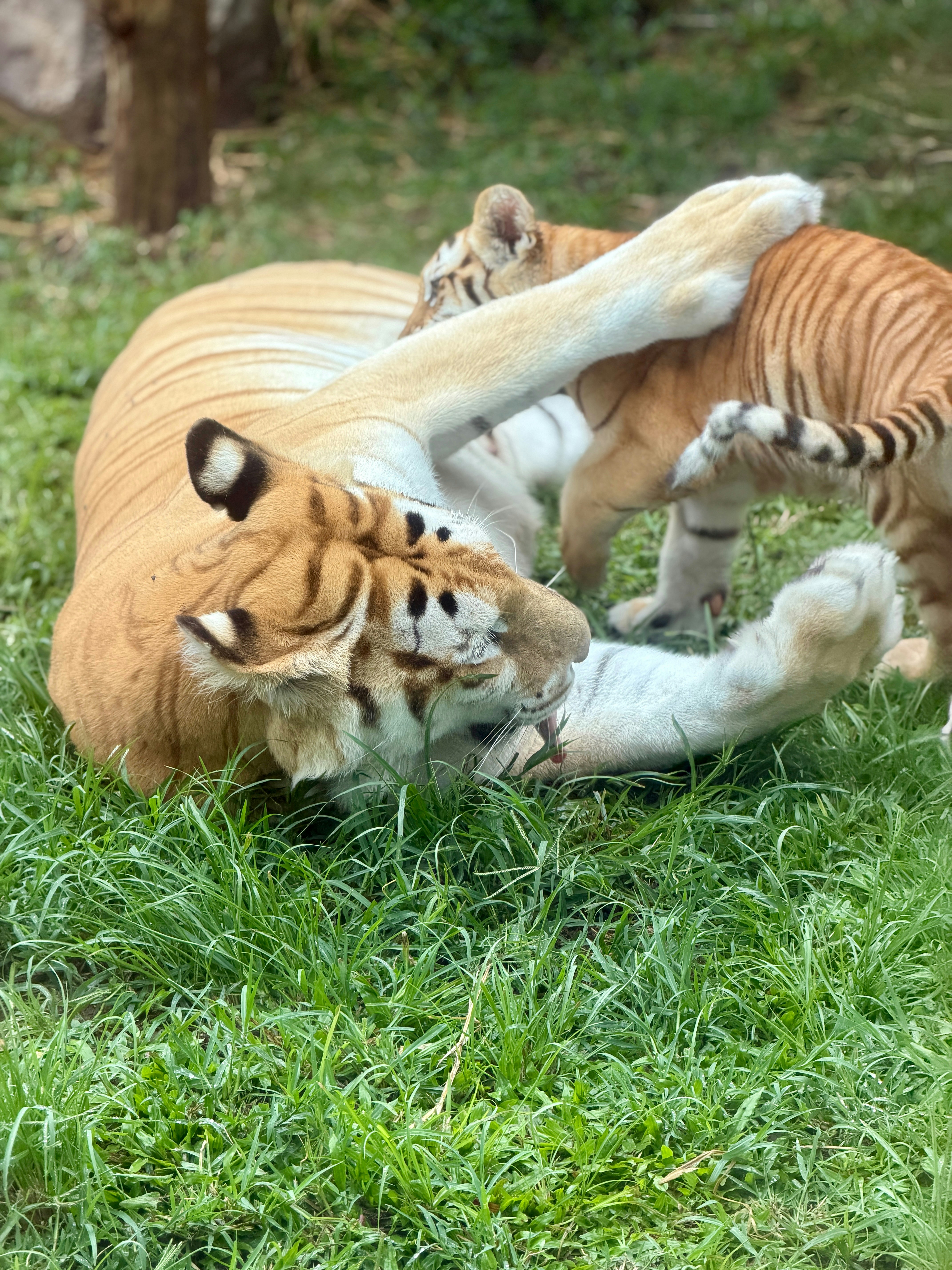 Sultan Rantung (@dollarsushi) | Unsplash 사진 커뮤니티