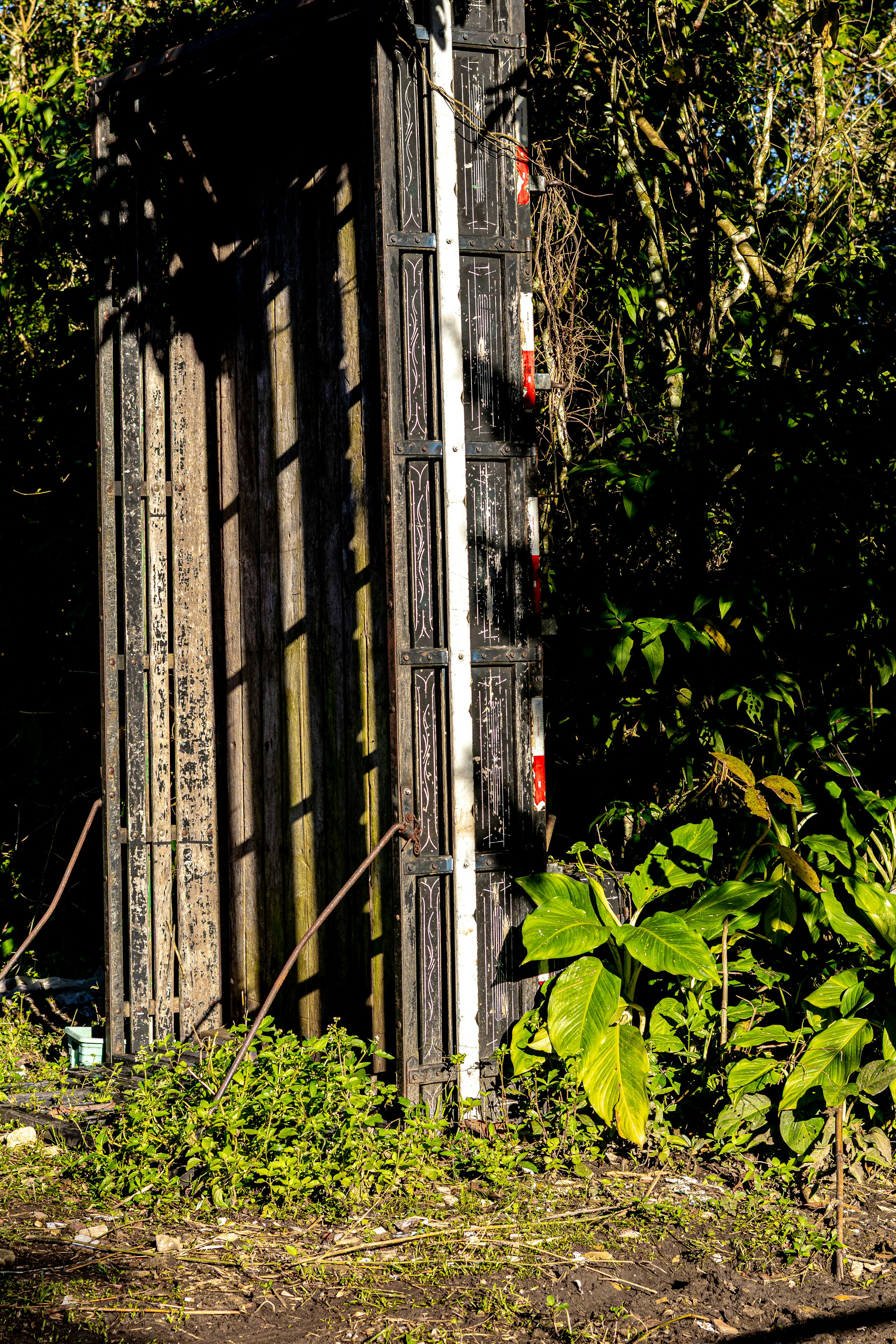Tall dark structure leaning against green plants in sunlight.