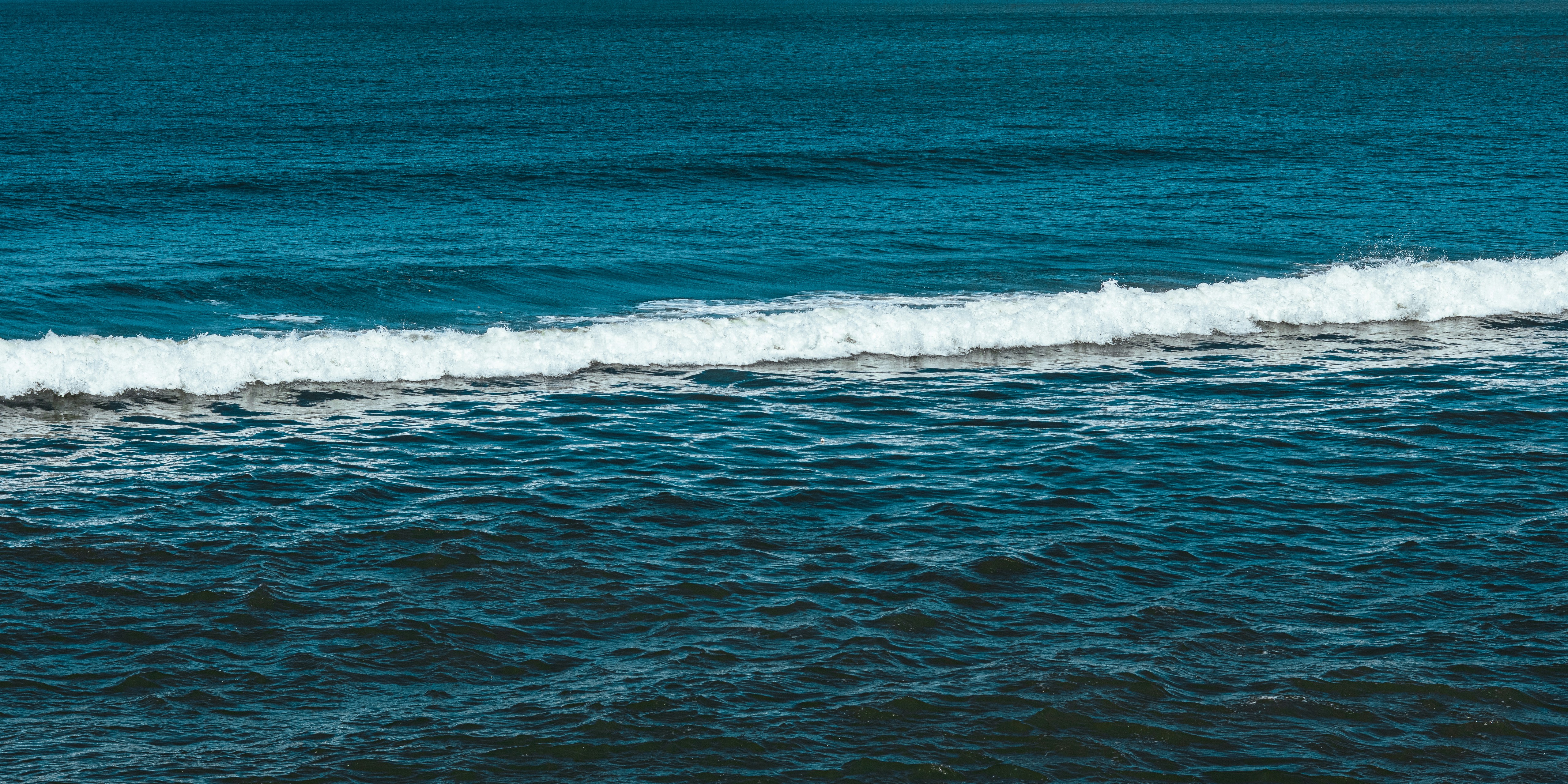 Deep blue ocean water with a white breaking wave.
