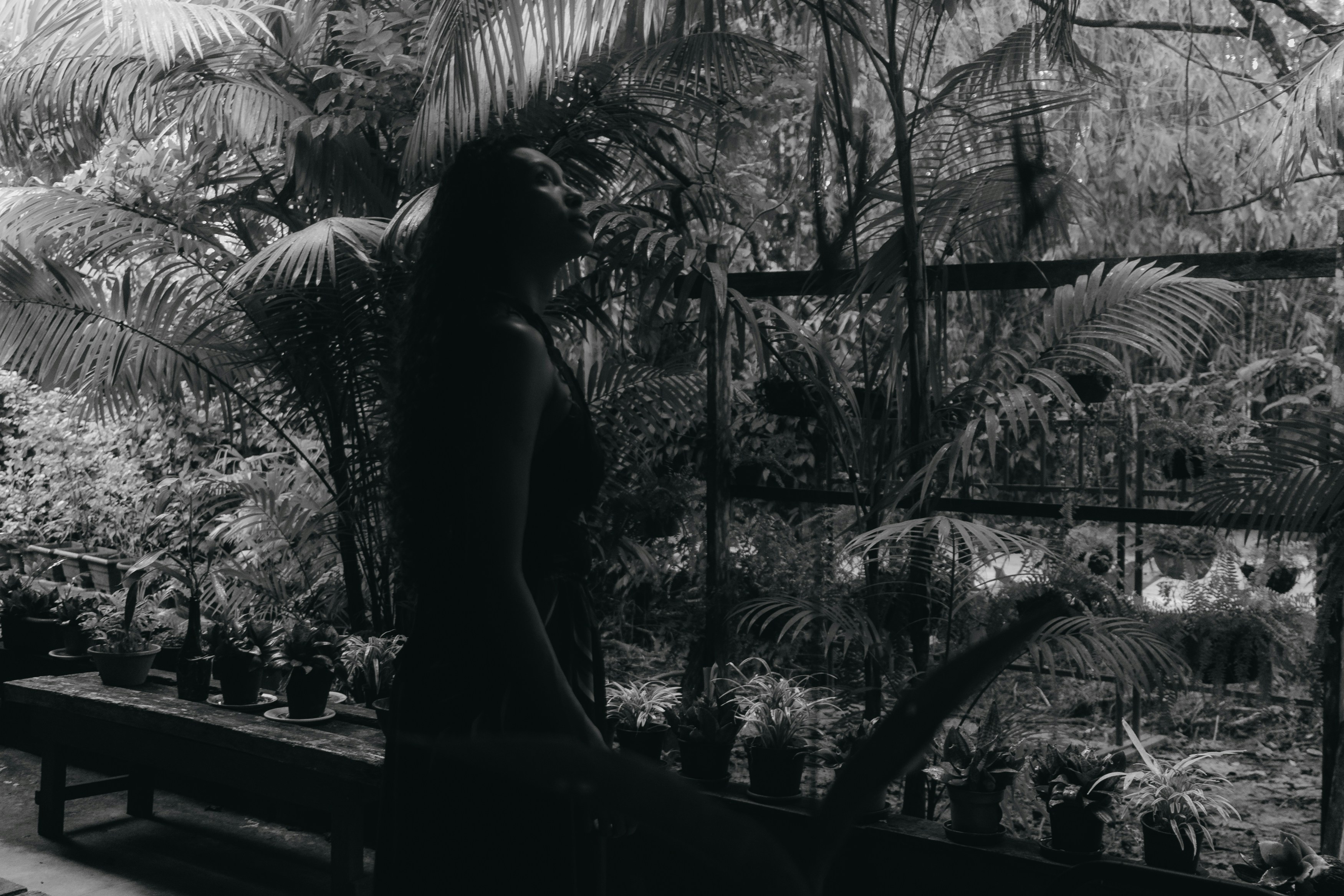 Person silhouette in lush greenhouse with potted plants