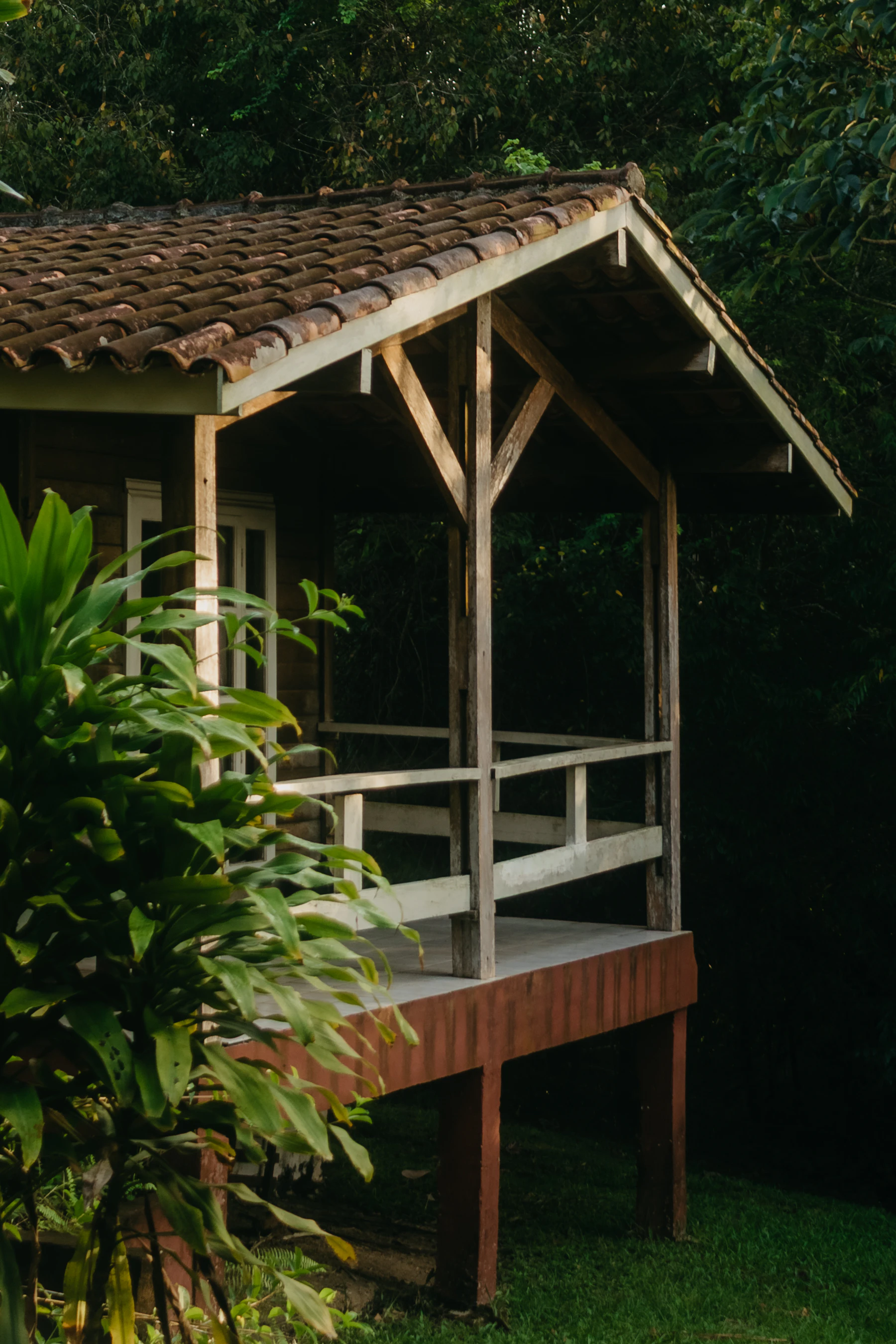 Cabaña de madera en el bosque