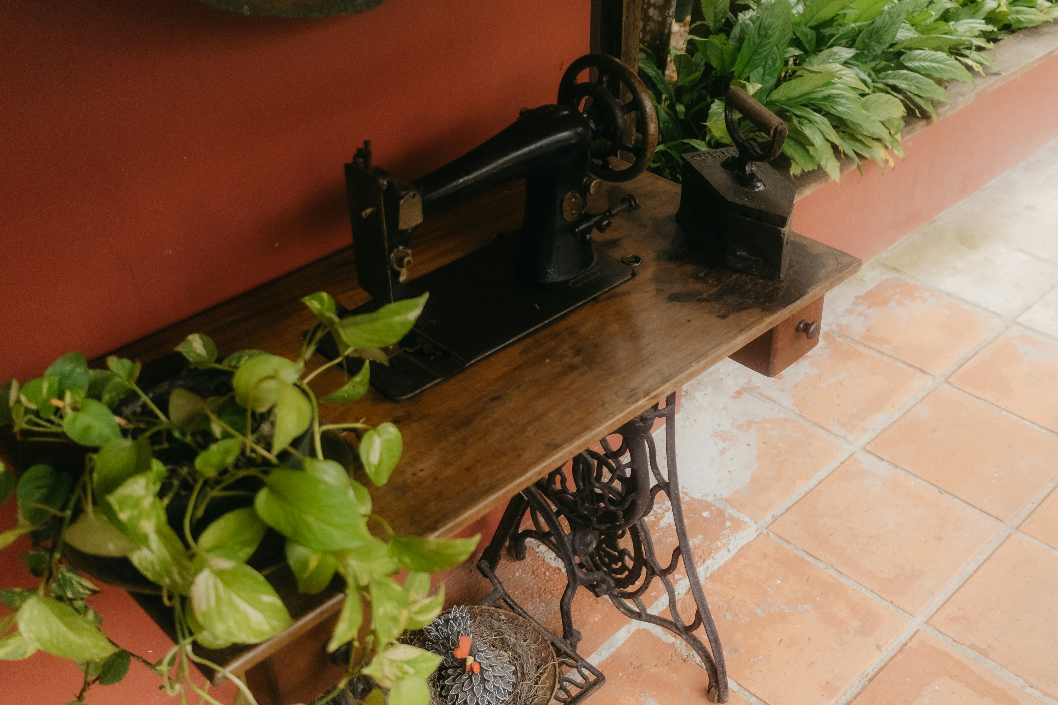 Vintage sewing machine and plant on wooden table