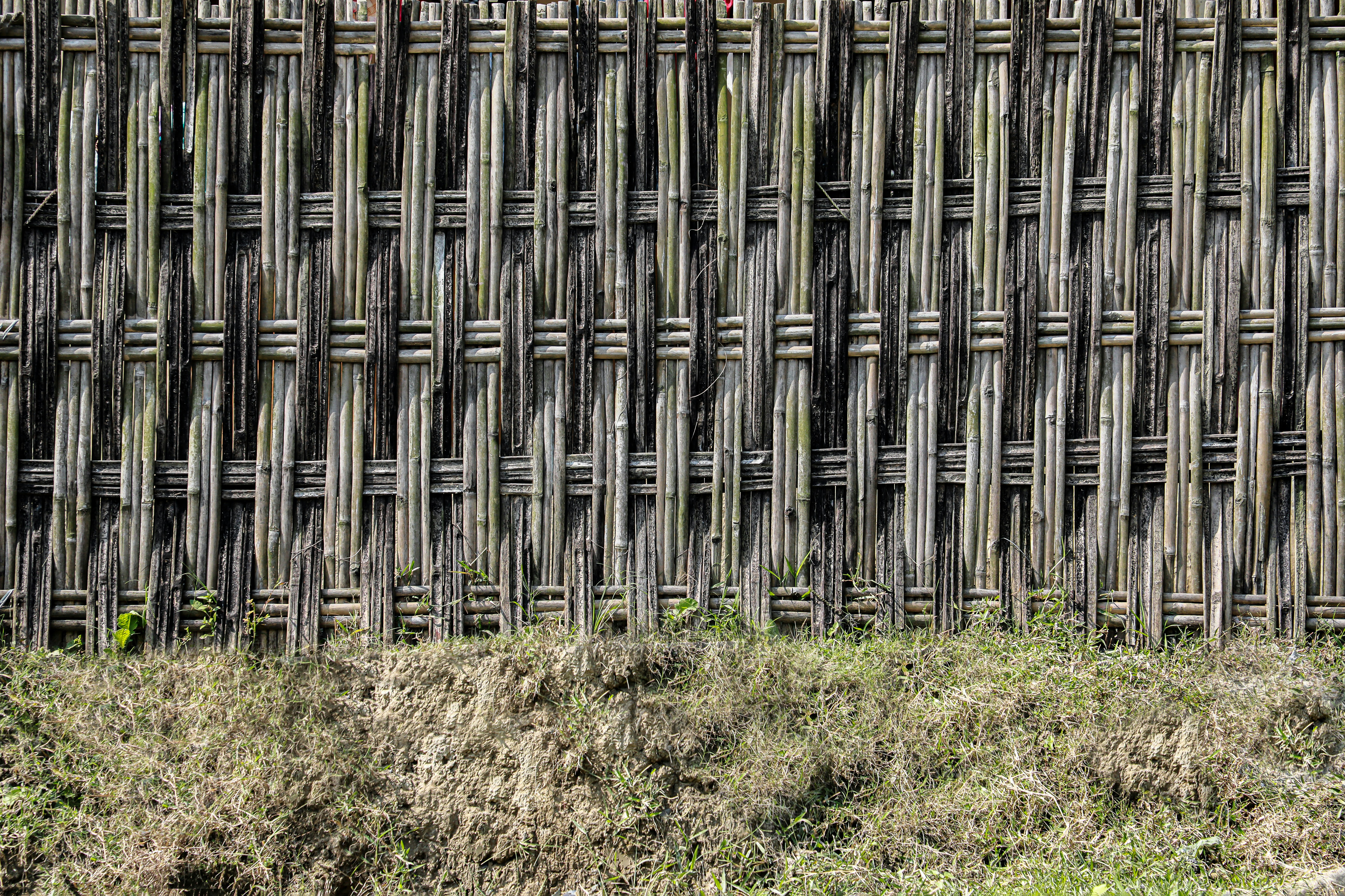 A rustic woven fence stands above dry grass.