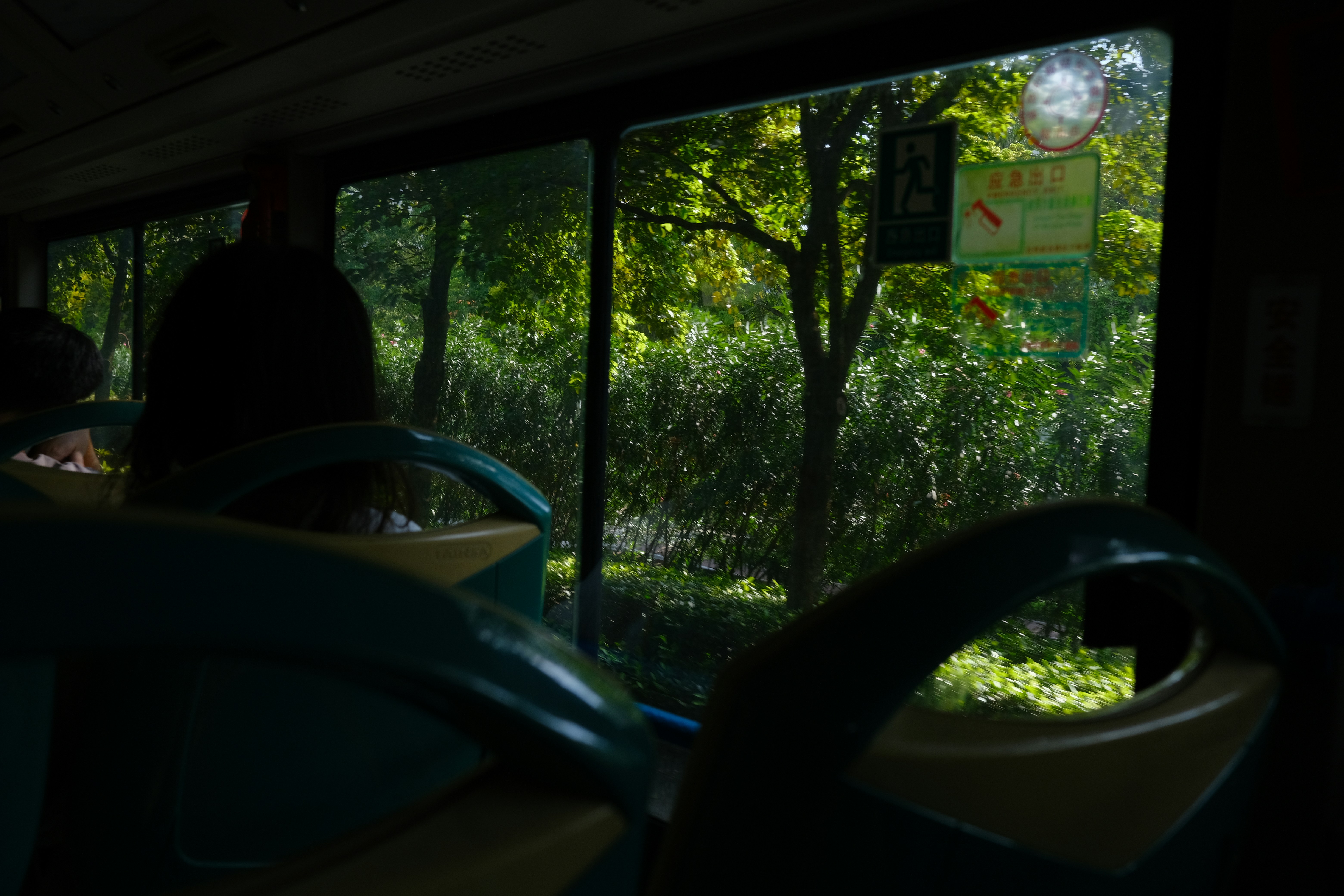 View of green trees from inside a bus