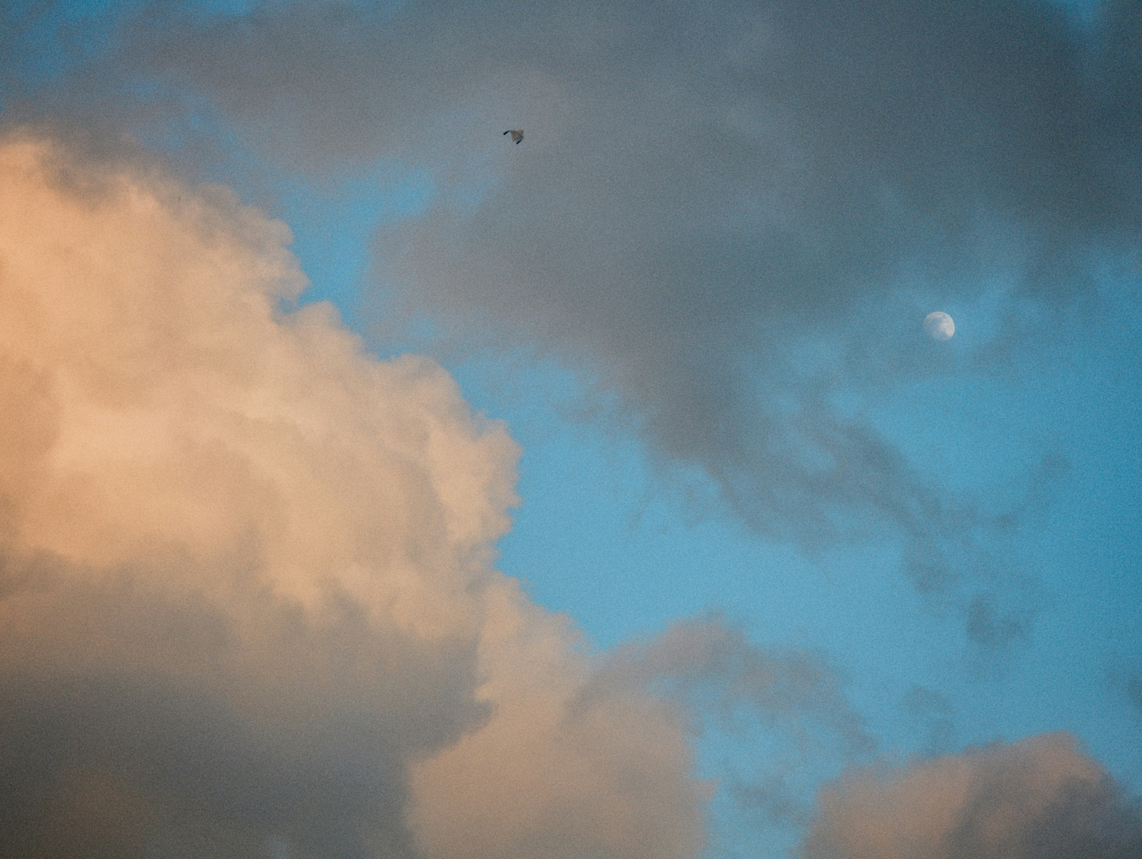 Golden clouds in blue sky and a kite