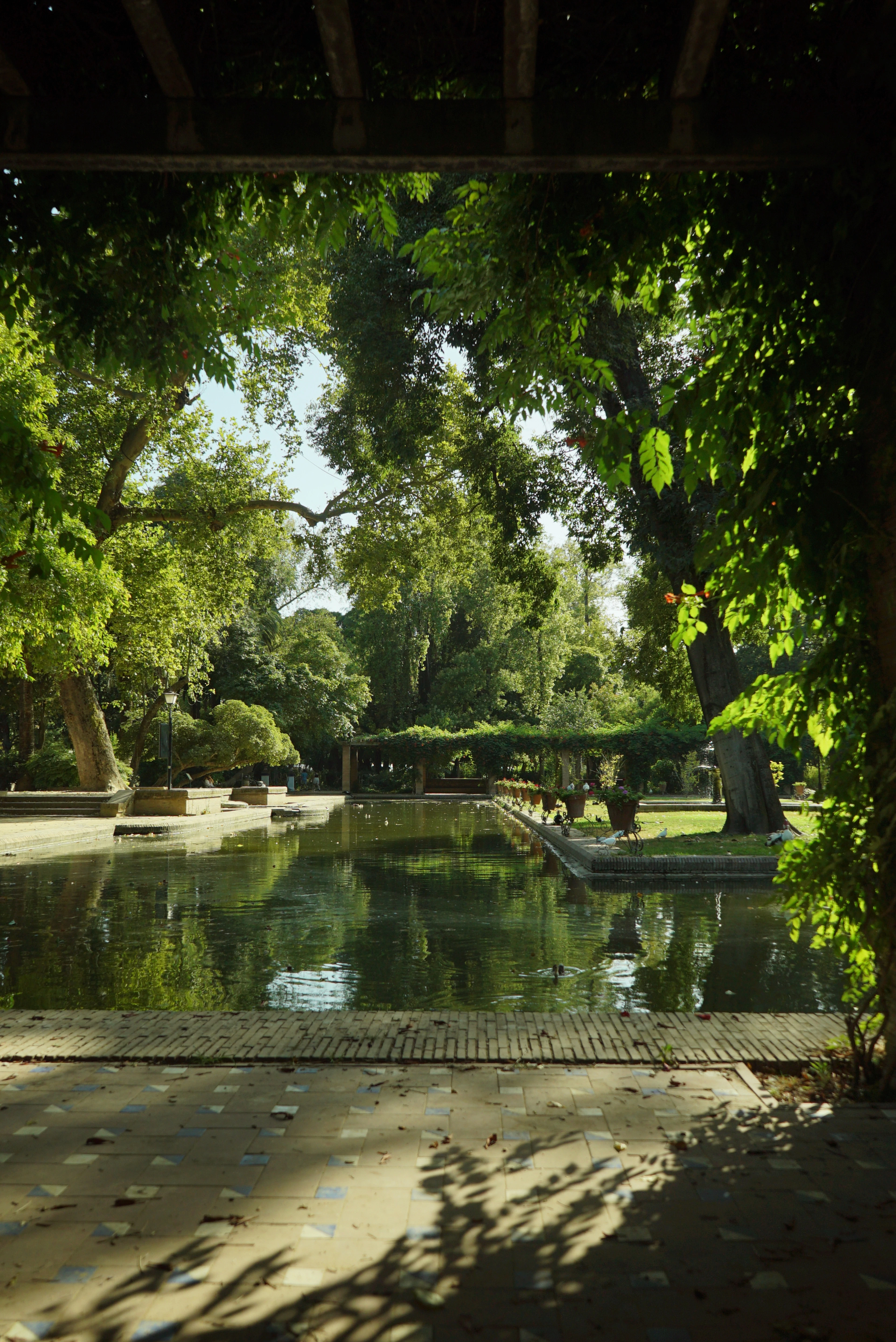 A still reflecting pond in Seville's Parque de Maria Luisa seen from beneath a shaded pergola, framed by heavy green foliage with the trees mirrored in the water.