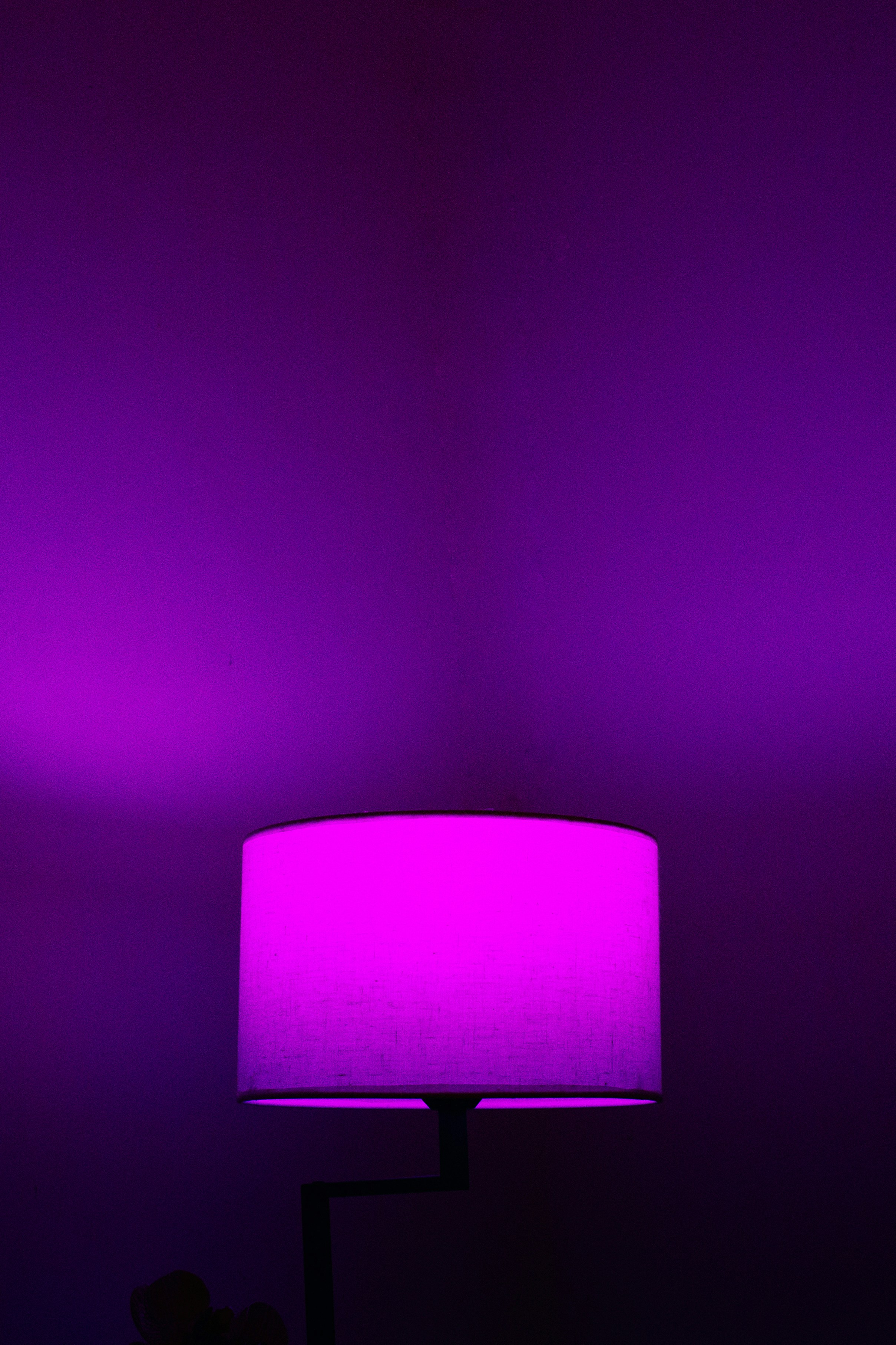 A lamp with vibrant pink light illuminating a purple wall