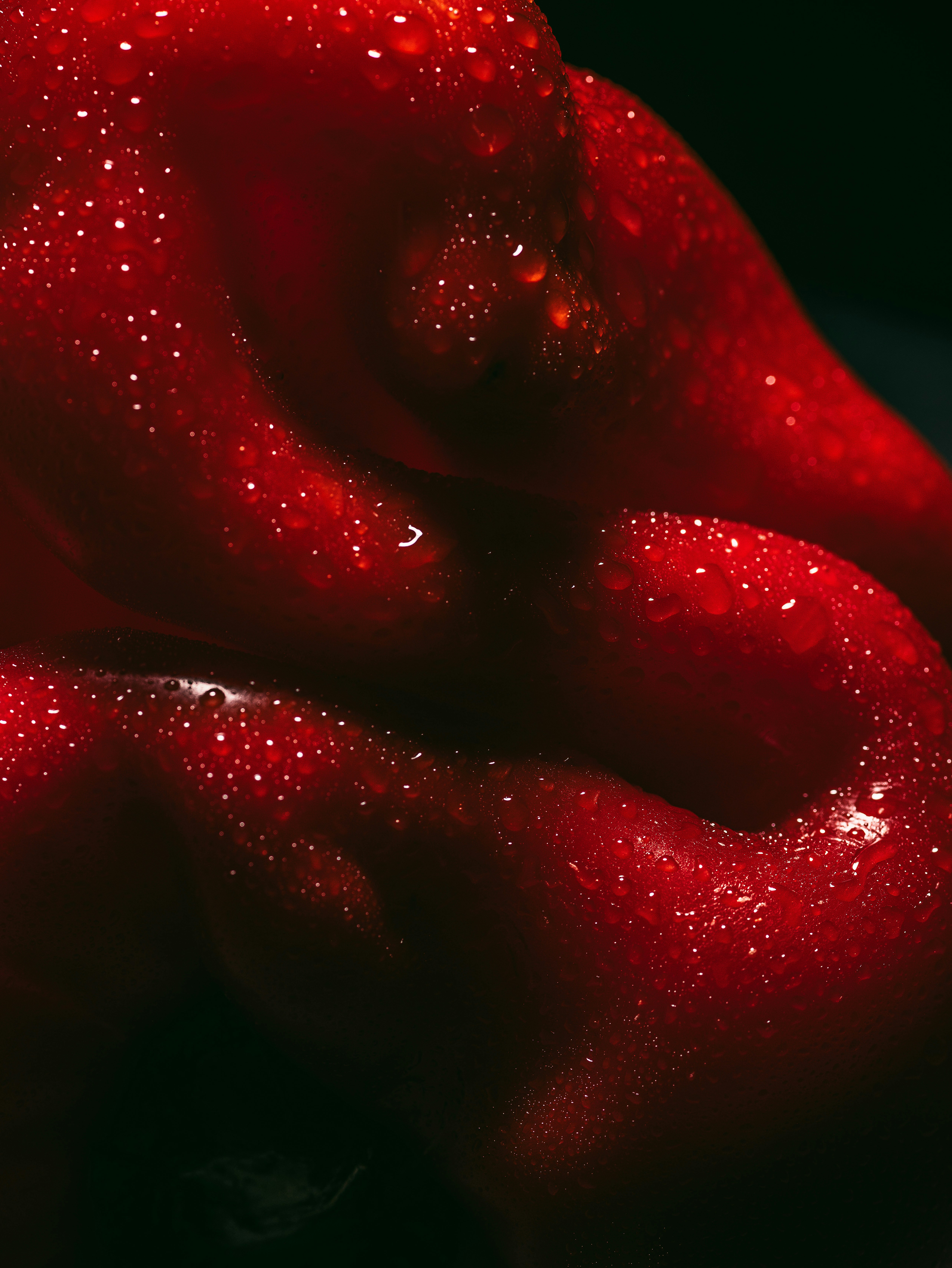 Vibrant red bell pepper with glistening water droplets.