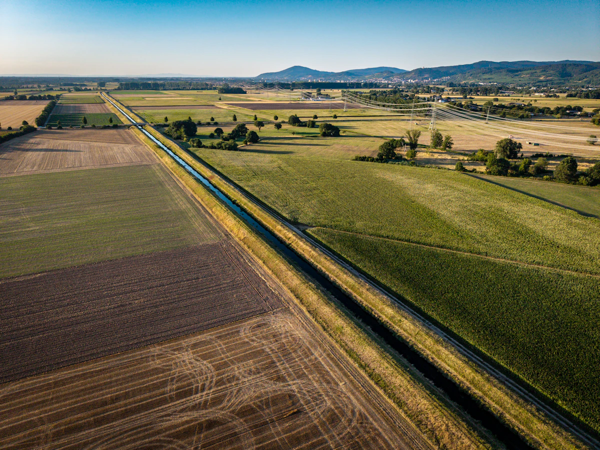 Rehabilitation of a regional irrigation network