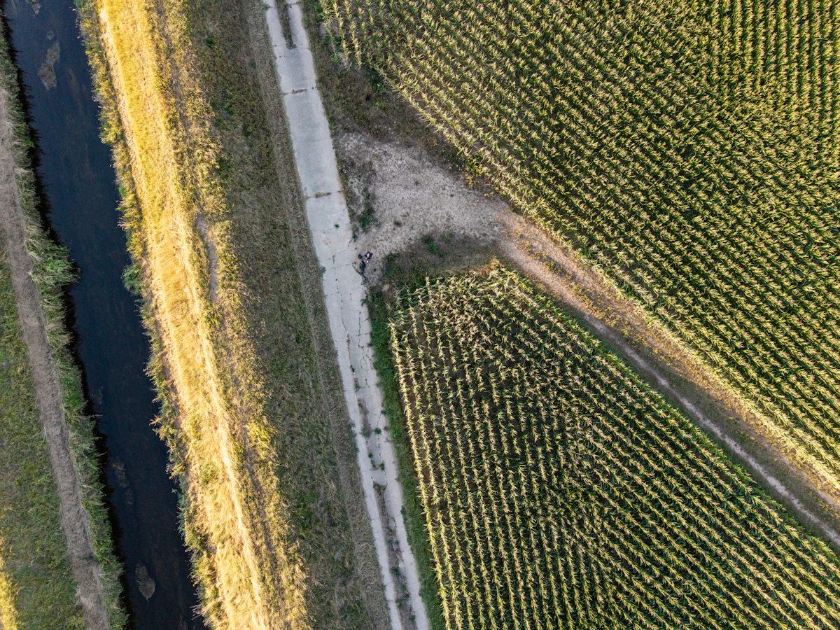 Aerial crop fields road and canal