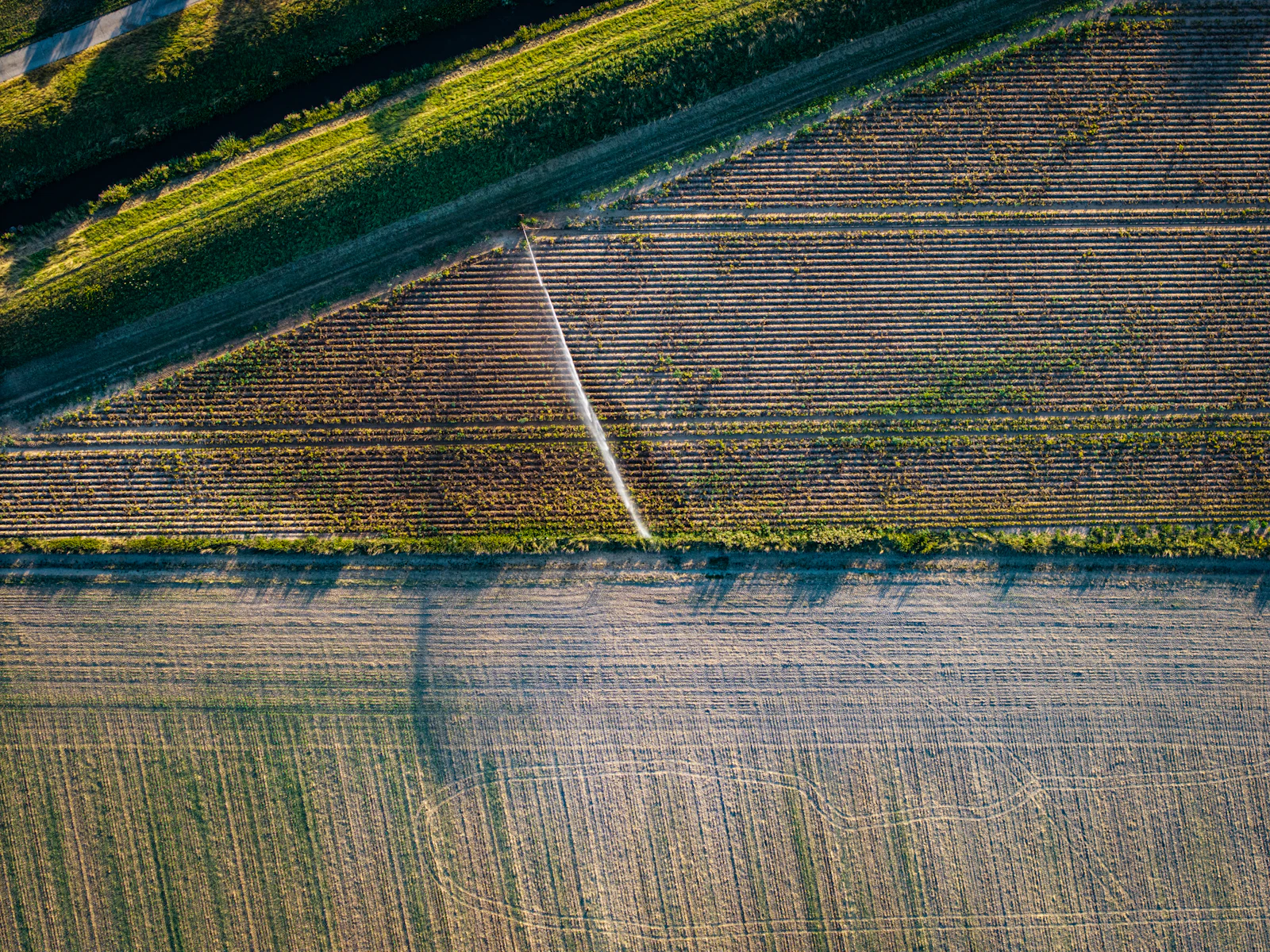 Irrigated agricultural land from above