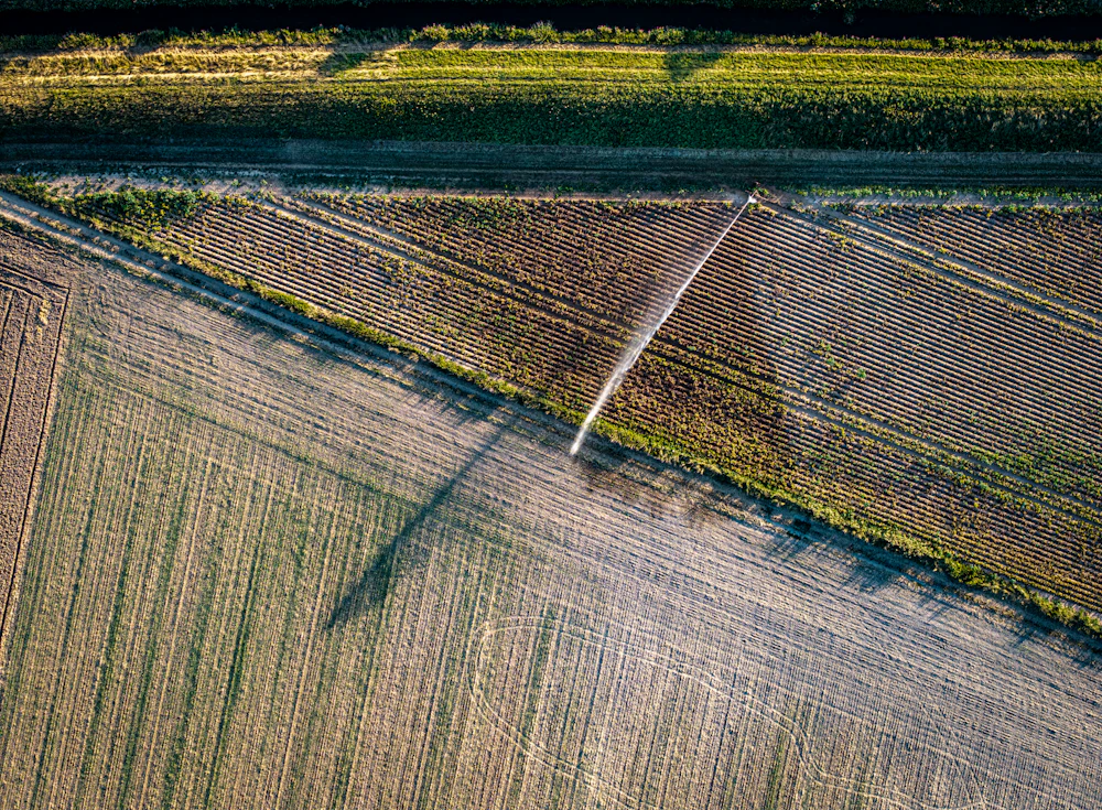 Vista aérea de un aspersor regando un campo de cultivo
