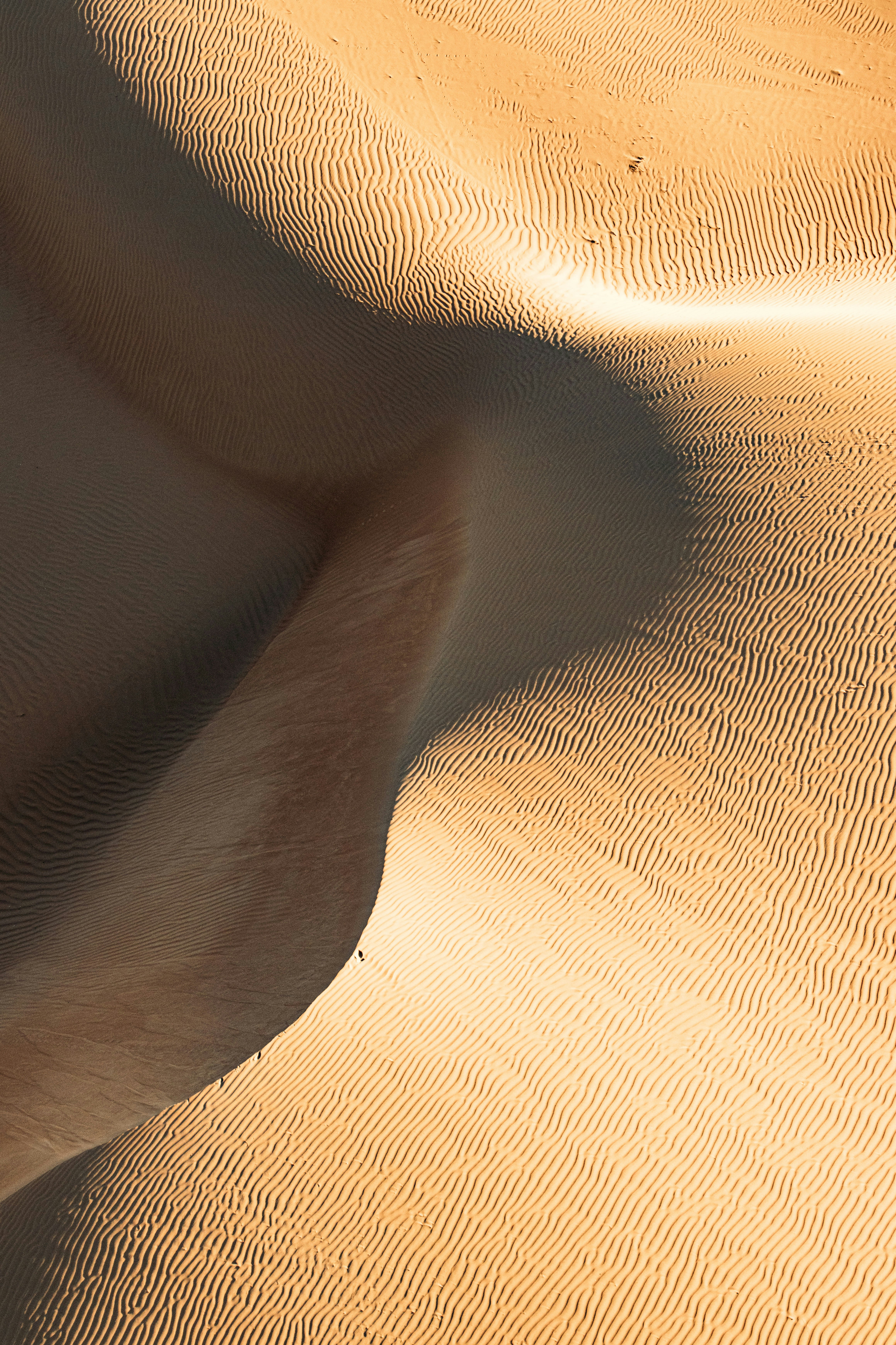 Golden desert sand dunes with intricate ripple patterns.