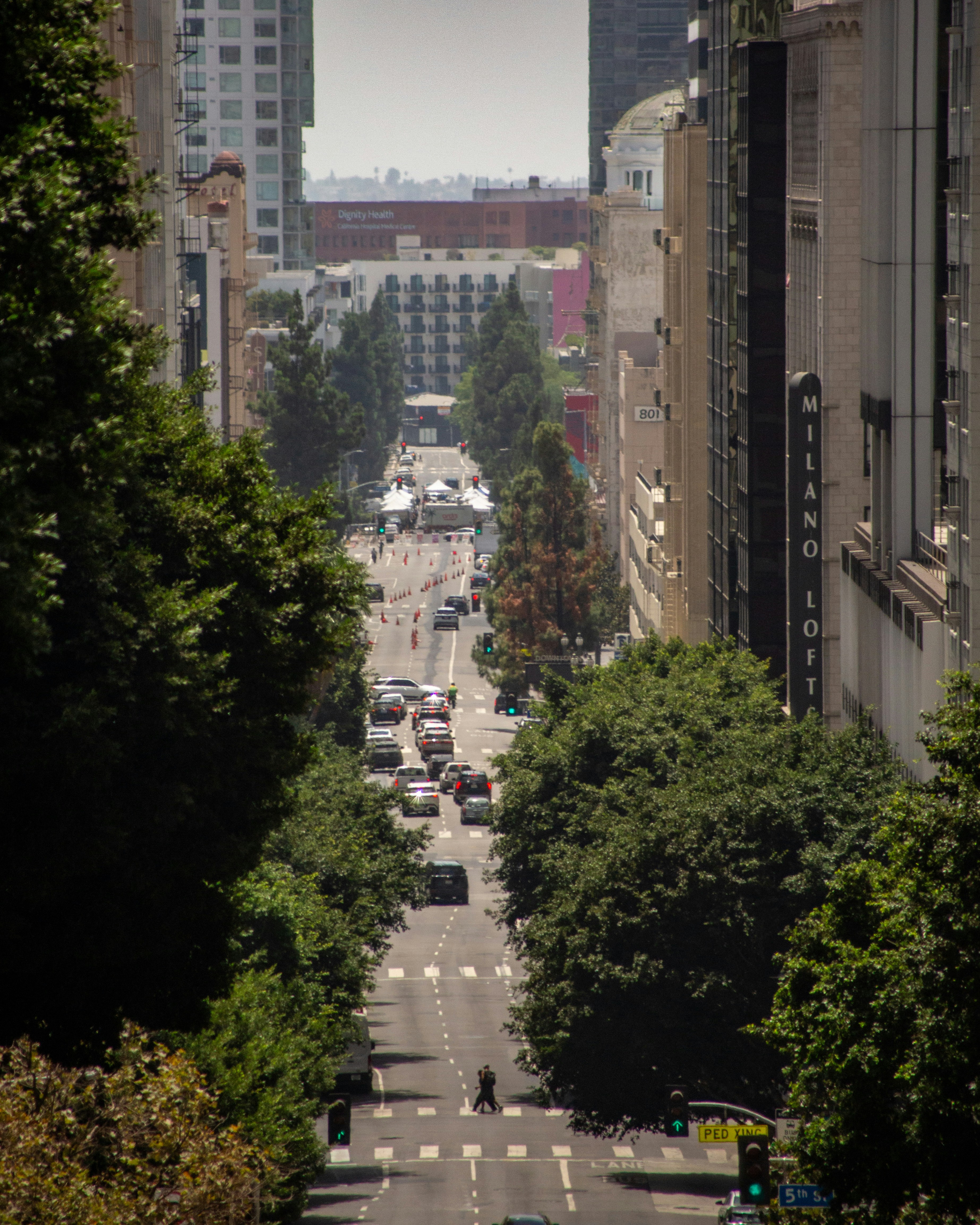 Long city street lined with trees and buildings.
