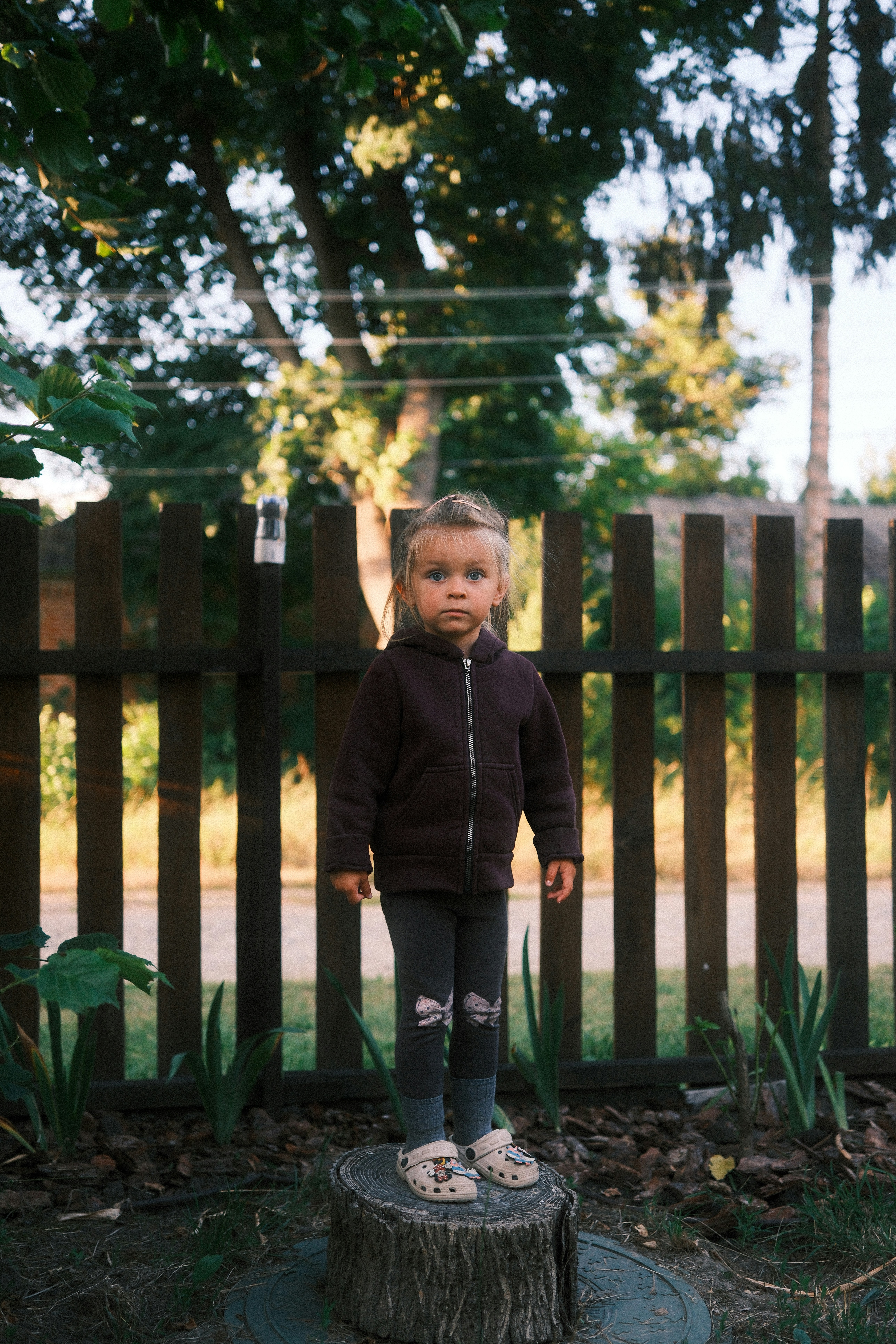 Toddler standing on a tree stump outdoors - 相关推荐