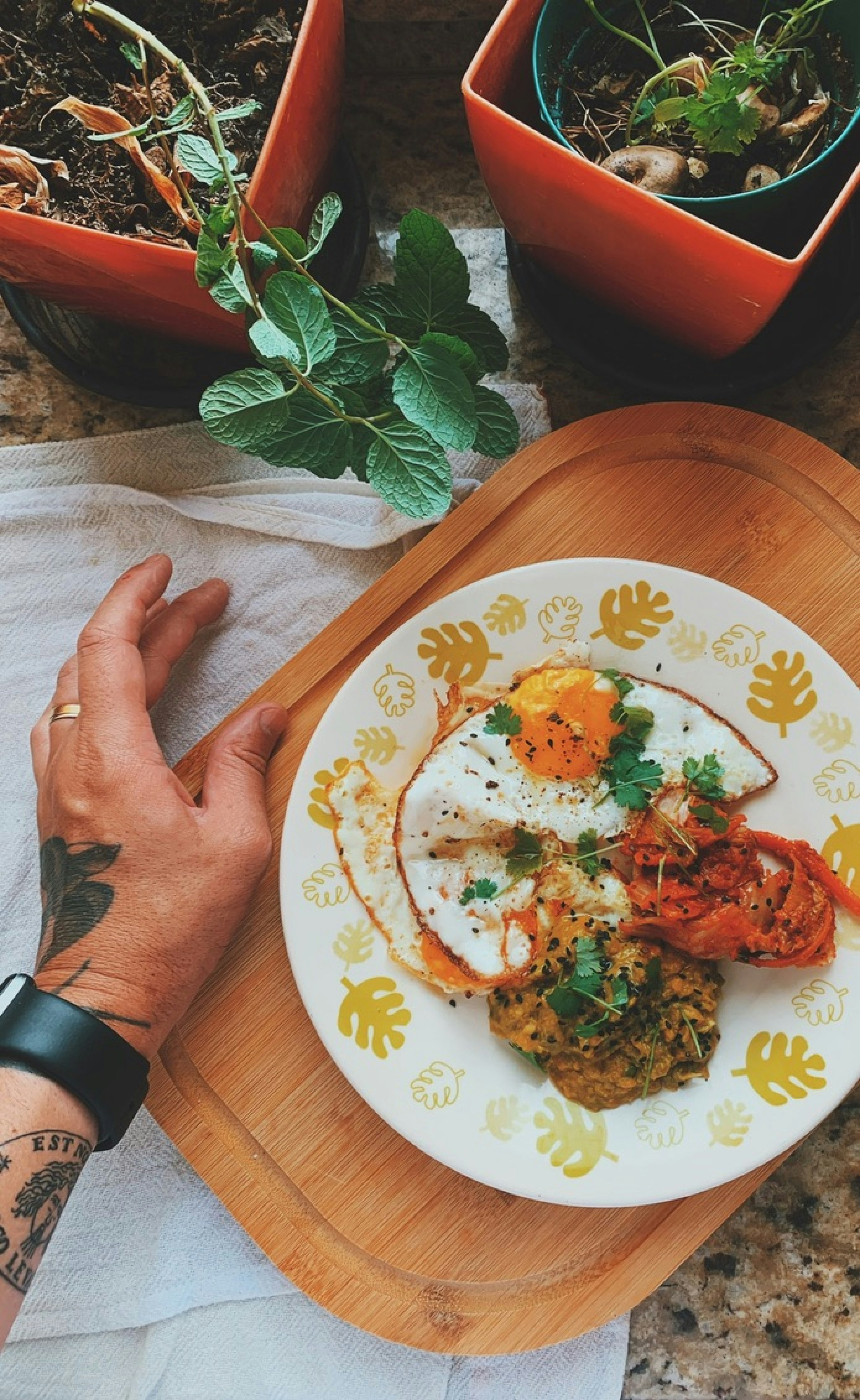 Delicious breakfast with fried eggs, vegetables, and fresh herbs