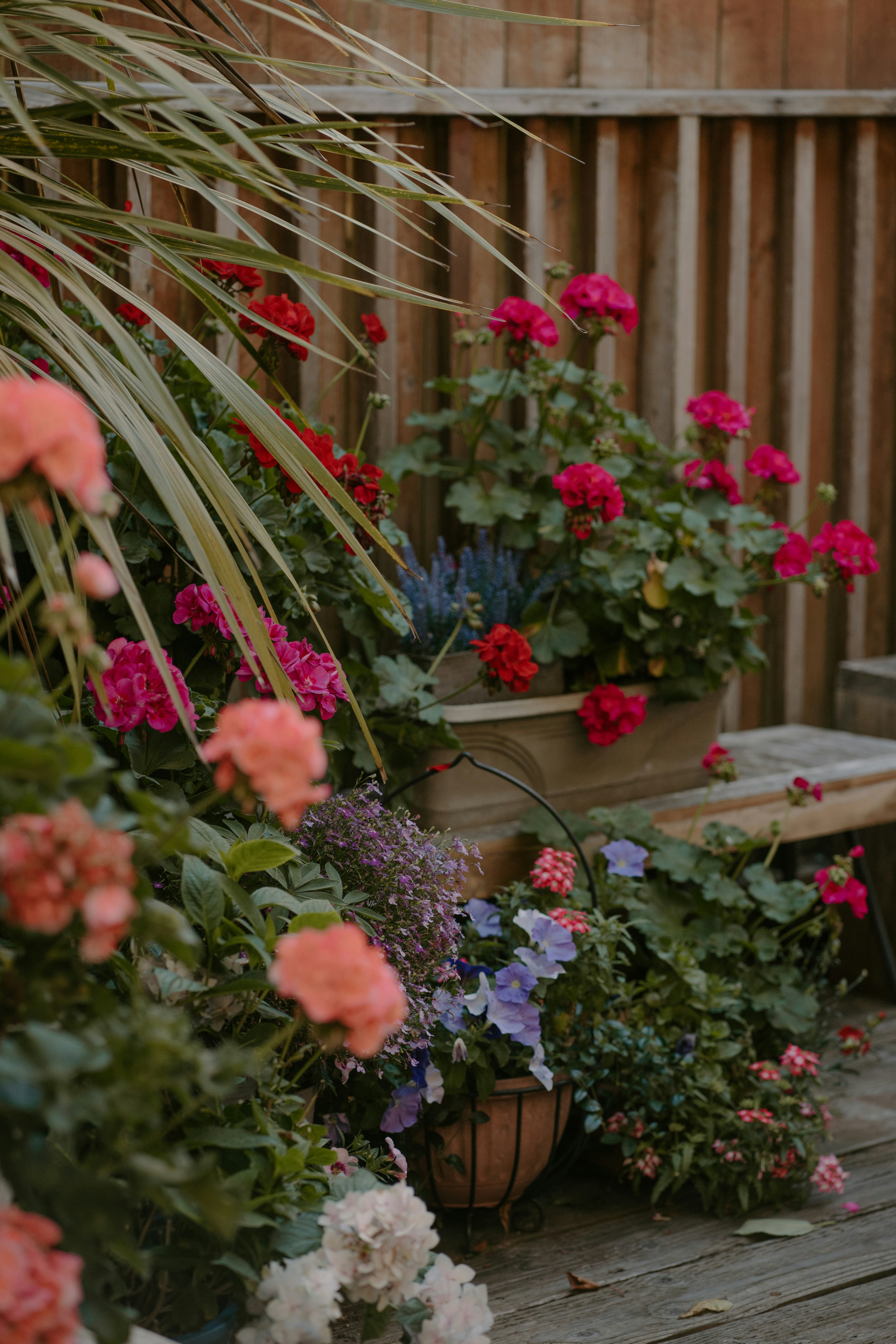 Proposed garden
