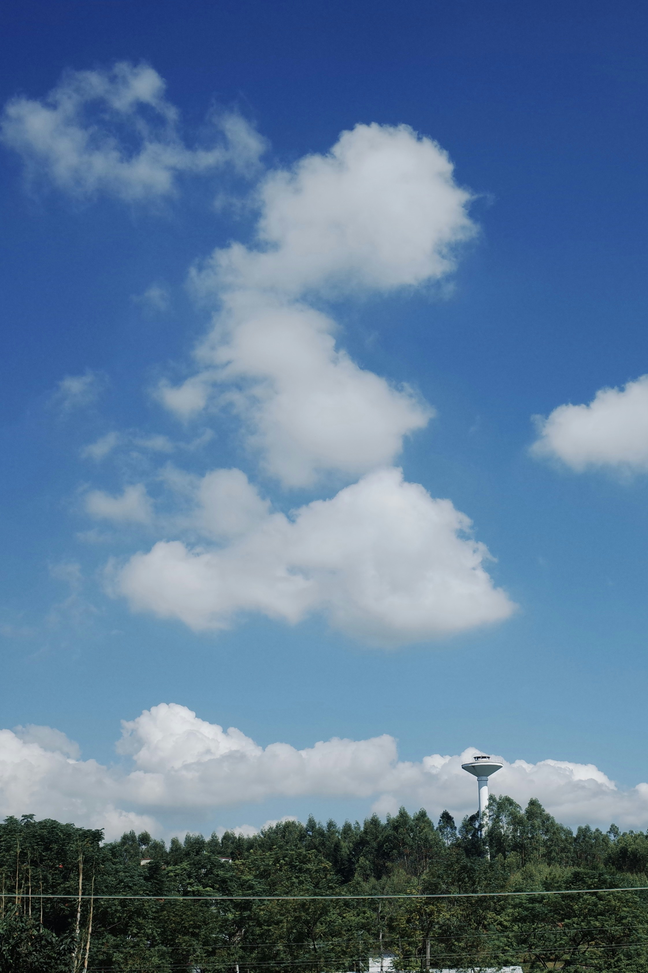 照片