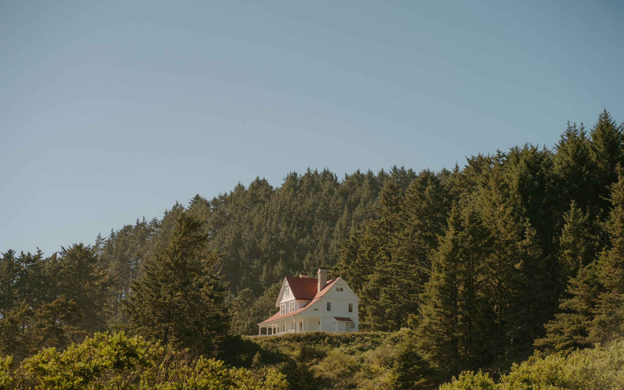A house surrounded by dense vegetation and forest on a hillside, the kind of setting insurers now scrutinize for defensible space