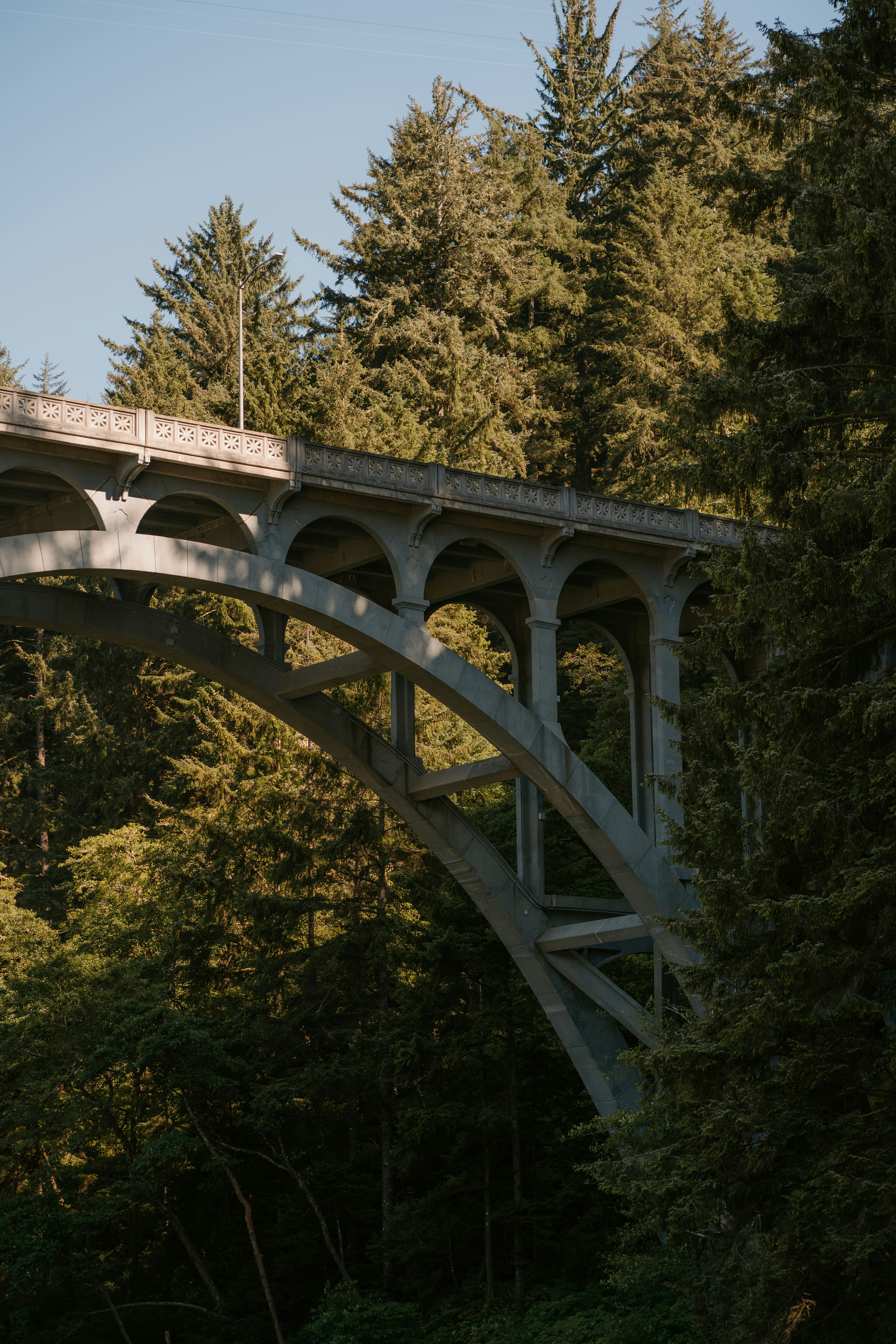 Concrete arch bridge surrounded by a dense evergreen forest.
