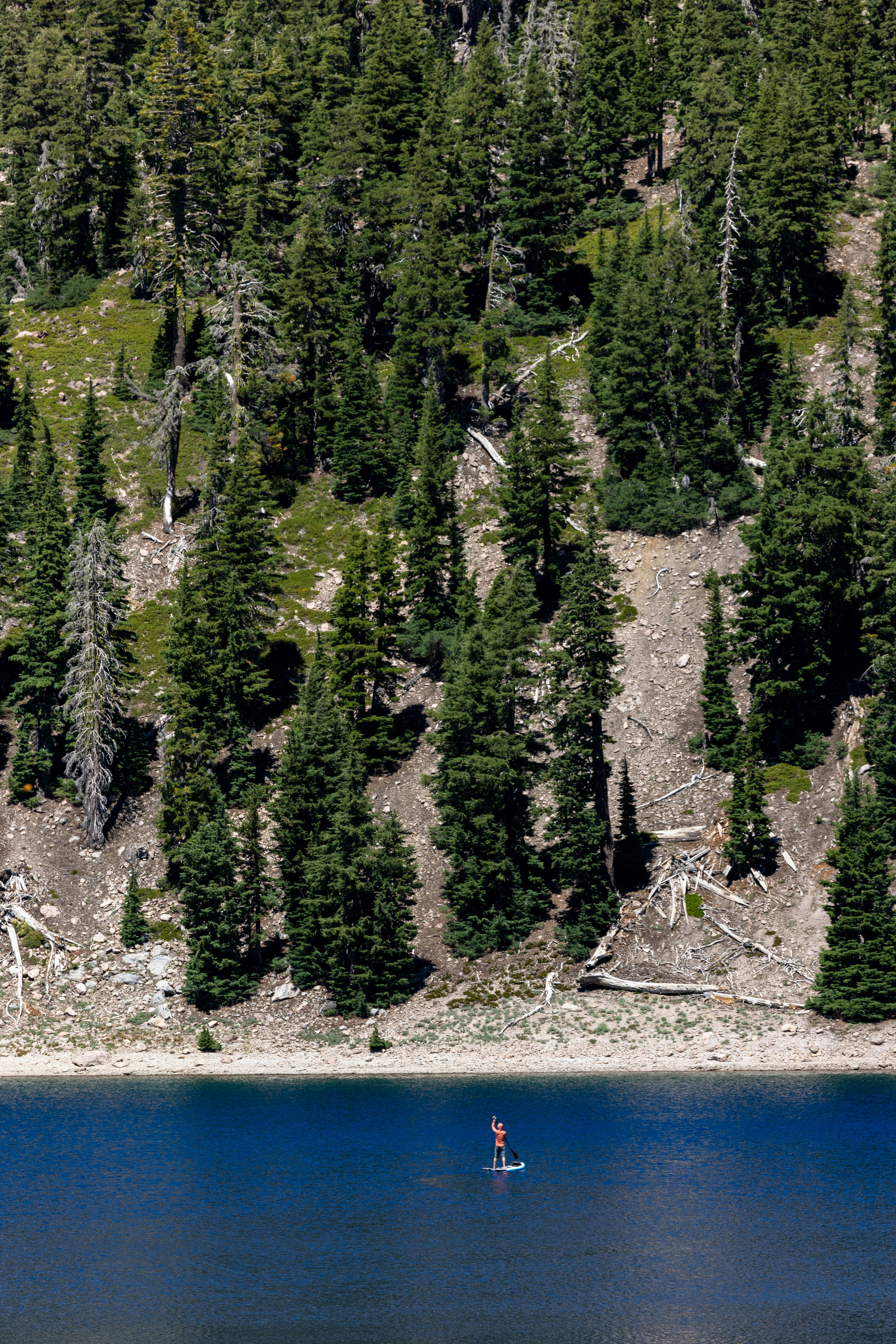 Paddleboarder on blue lake below a dense green forest.