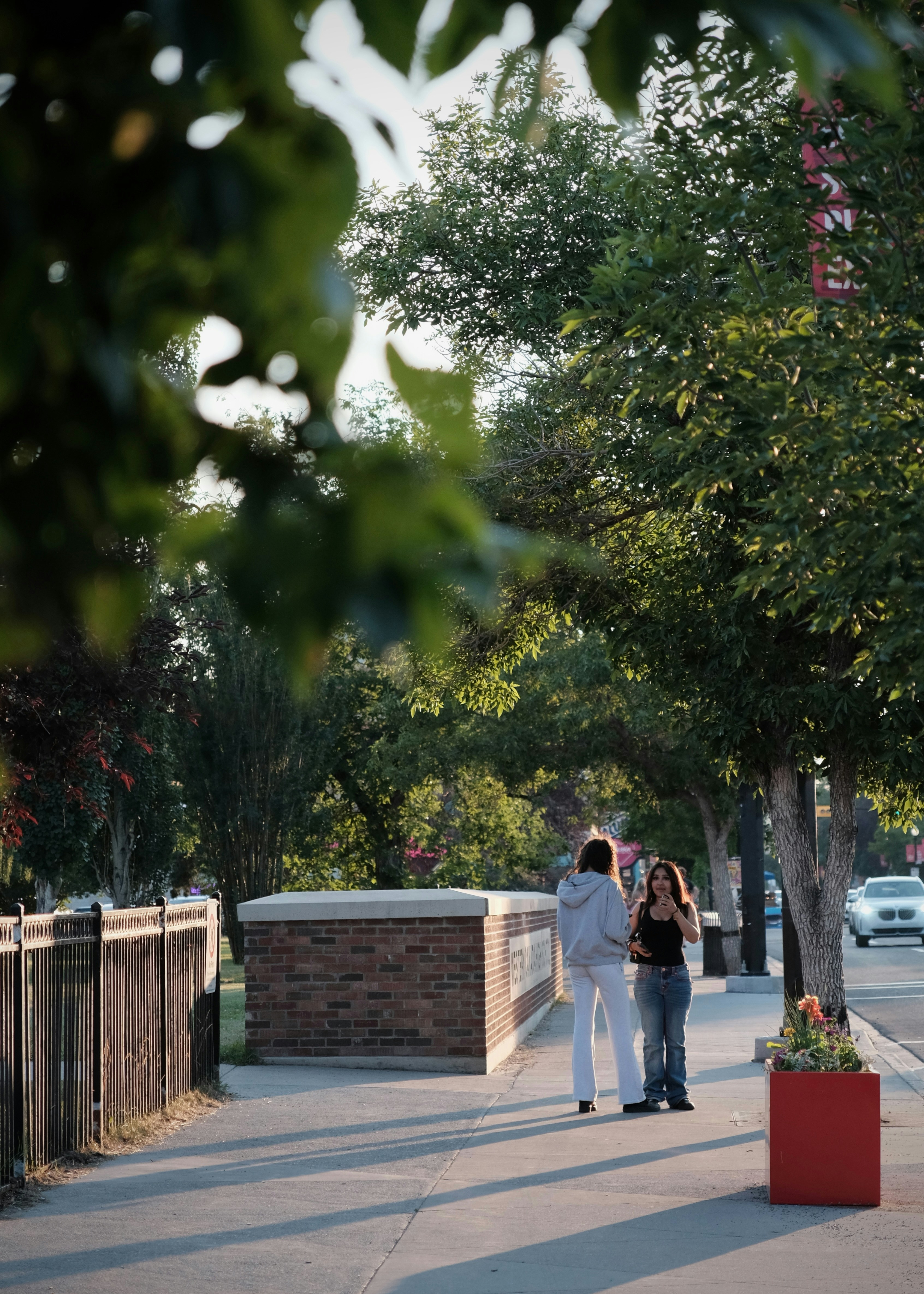 Two women talking on a sunny sidewalk lined with trees
