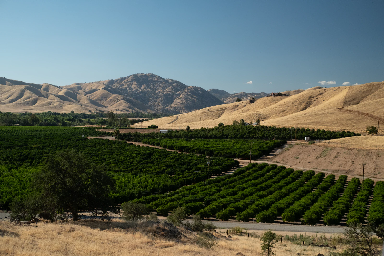 Green orchards below golden hills