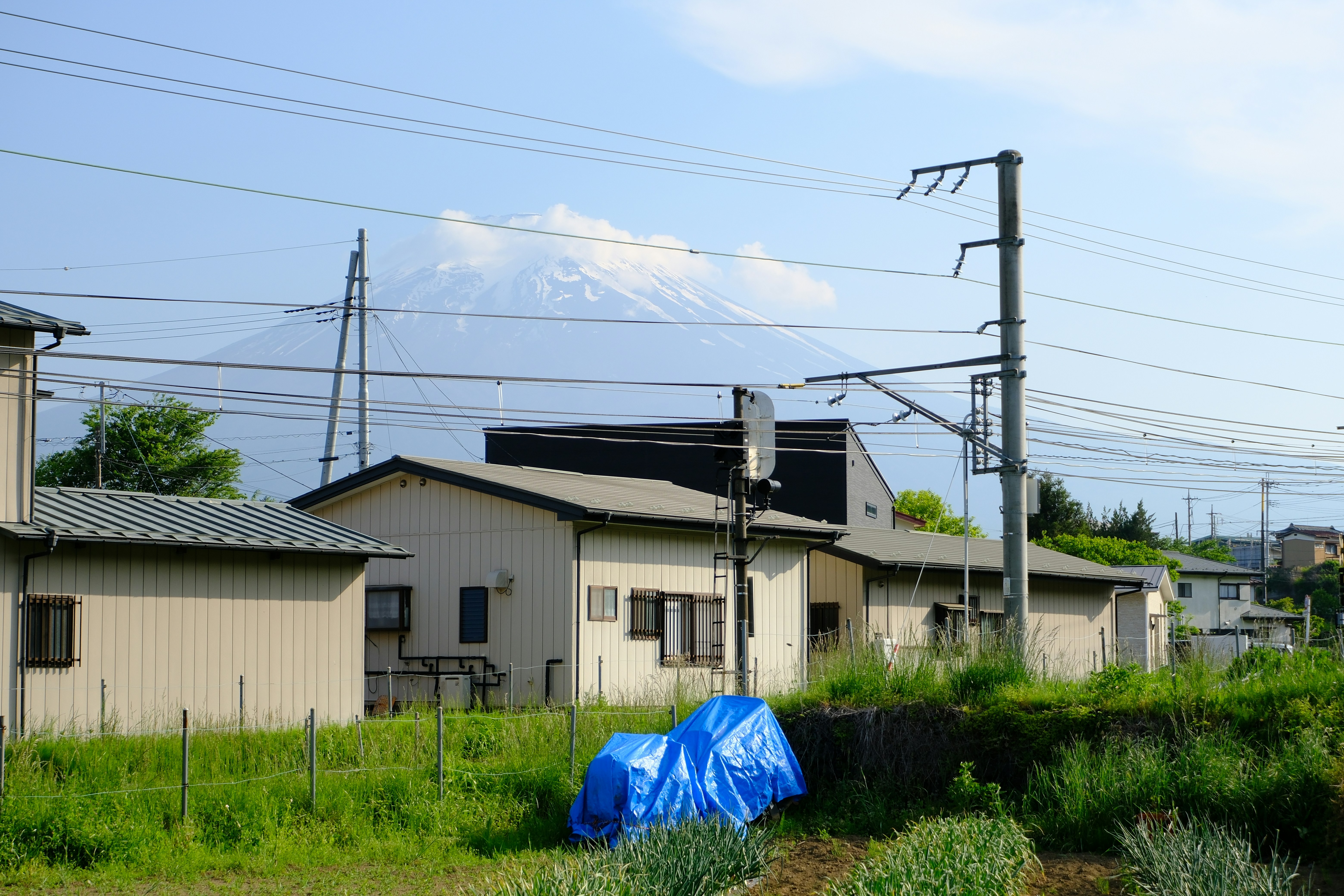 Le mont Fuji derrière des maisons, des lignes électriques et un champ vert.