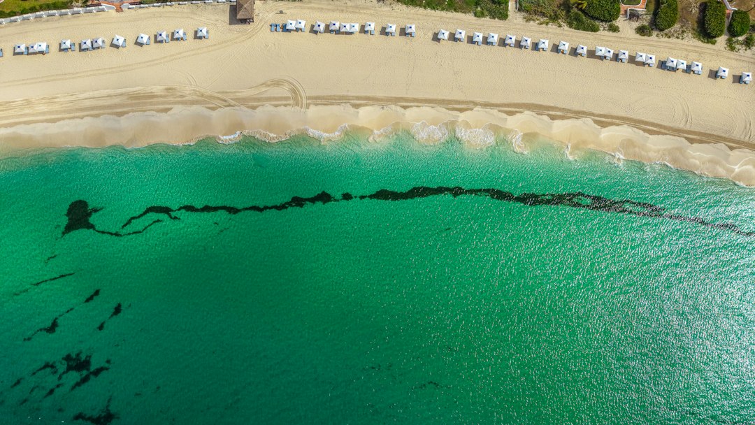 beach resort pool