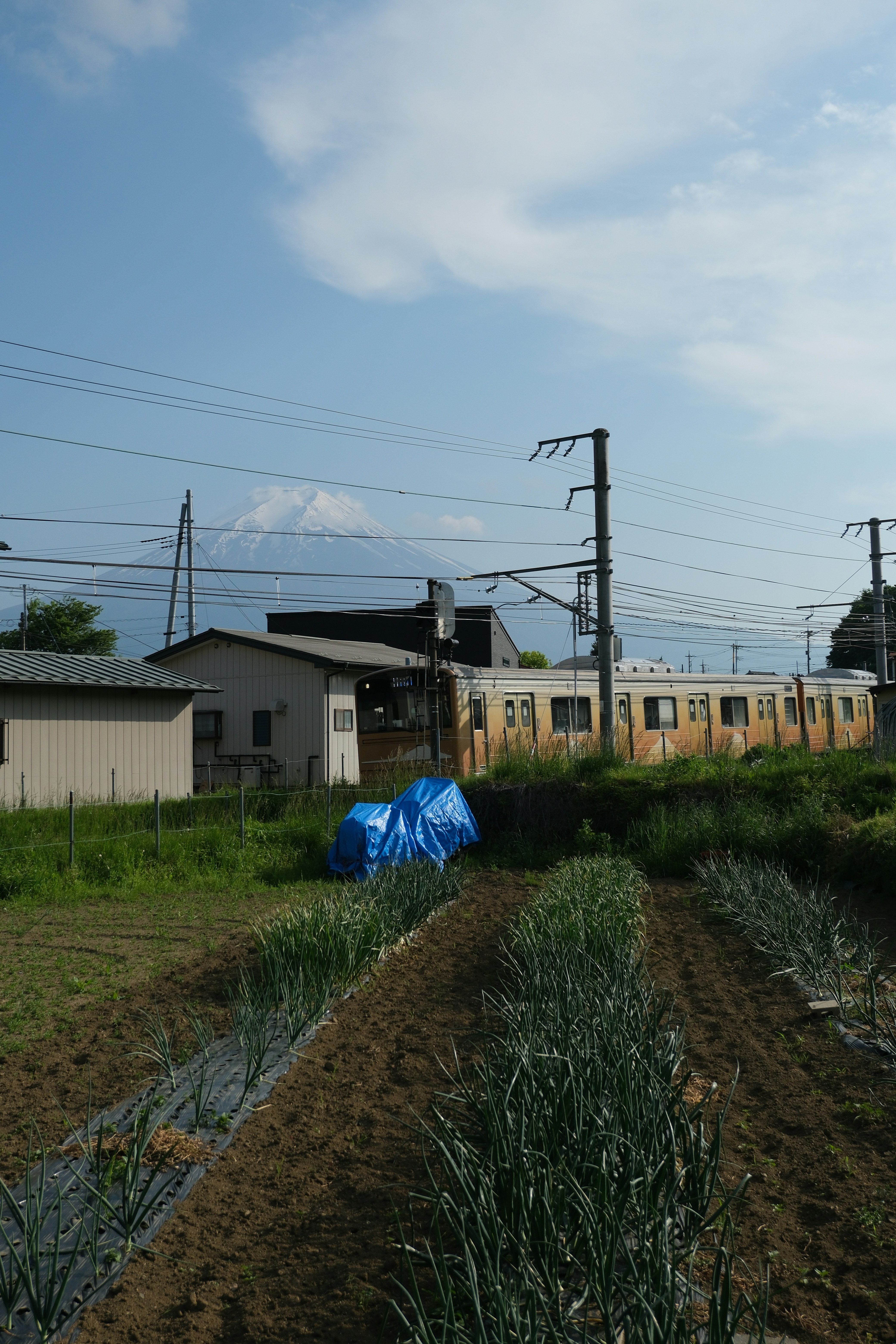 Mont Fuji, train et cultures dans un paysage rural.