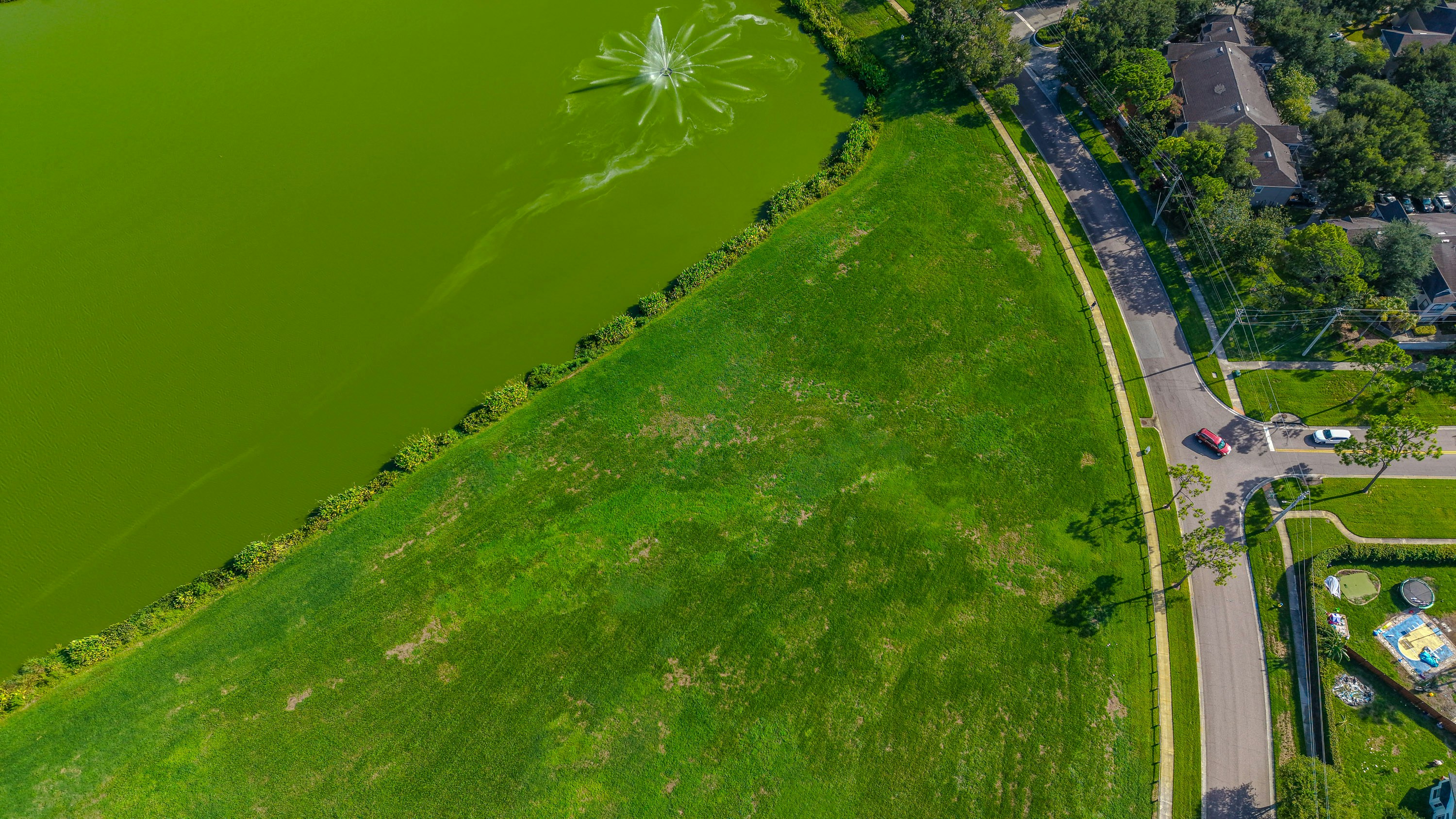 Reading the Lake Like a Local: What the Water Is Telling You Before You Buy