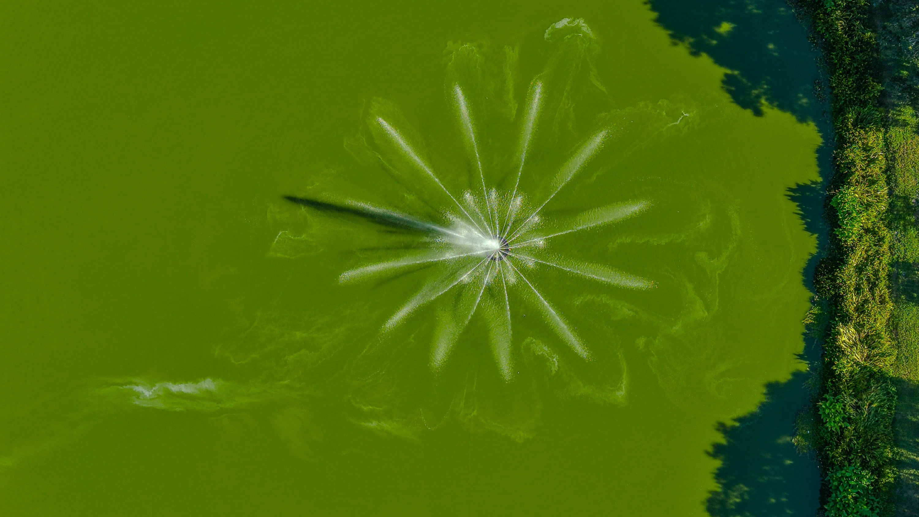 Starburst fountain in vibrant green water, aerial view