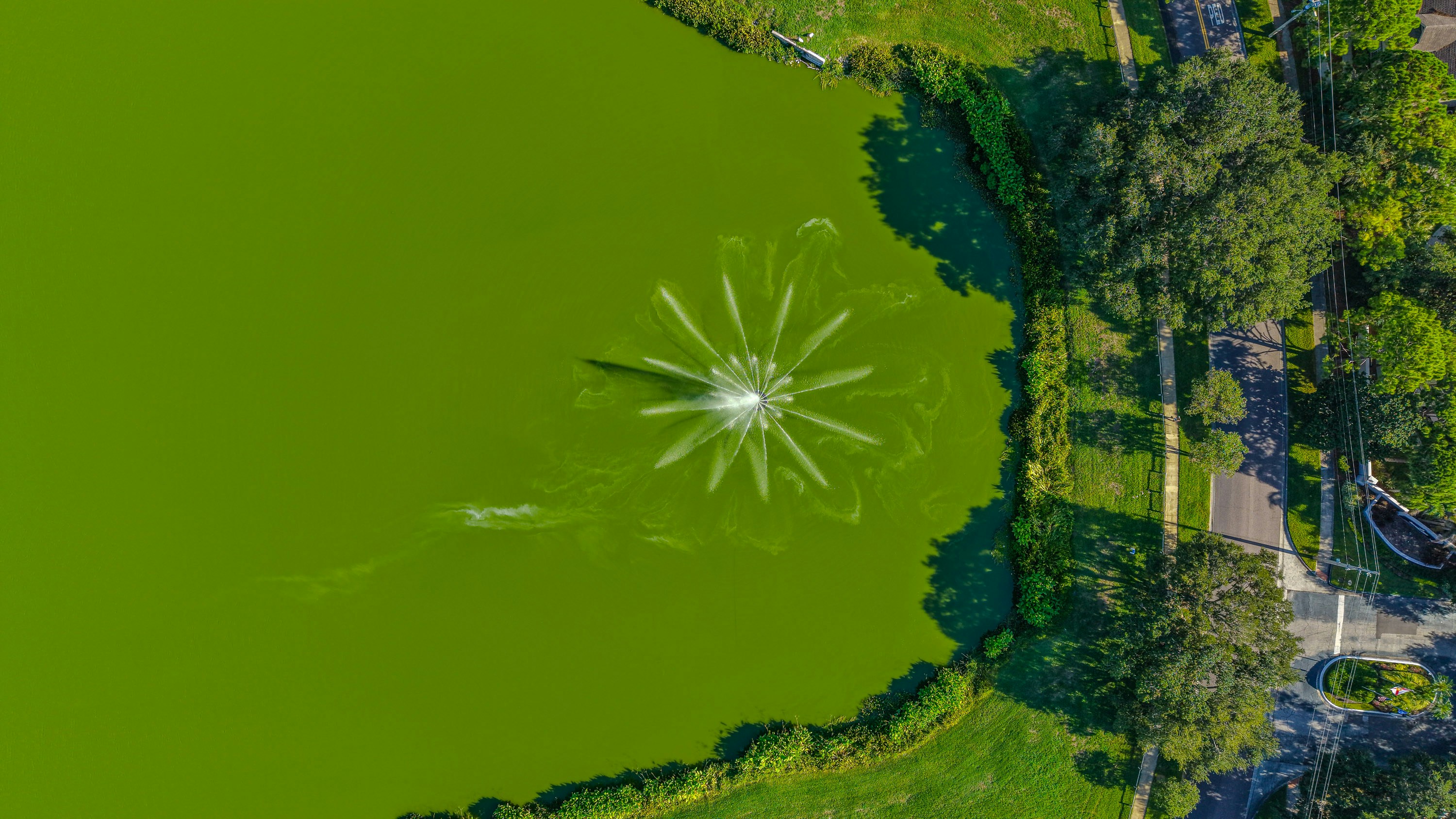 Aerial view of a vibrant green lake with a fountain