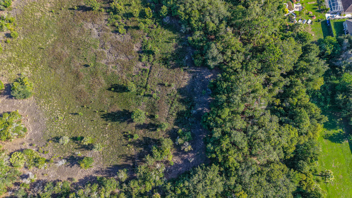 Aerial view of Eastern North Carolina land