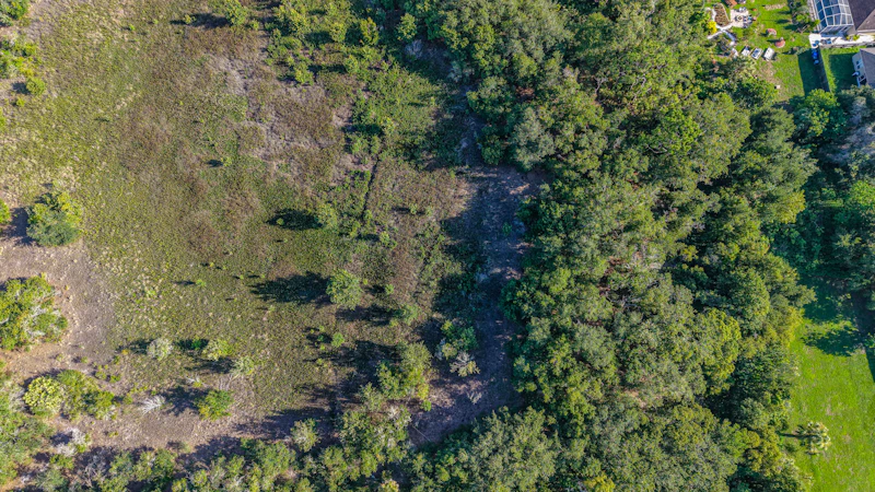 Brush & Overgrowth Clearing