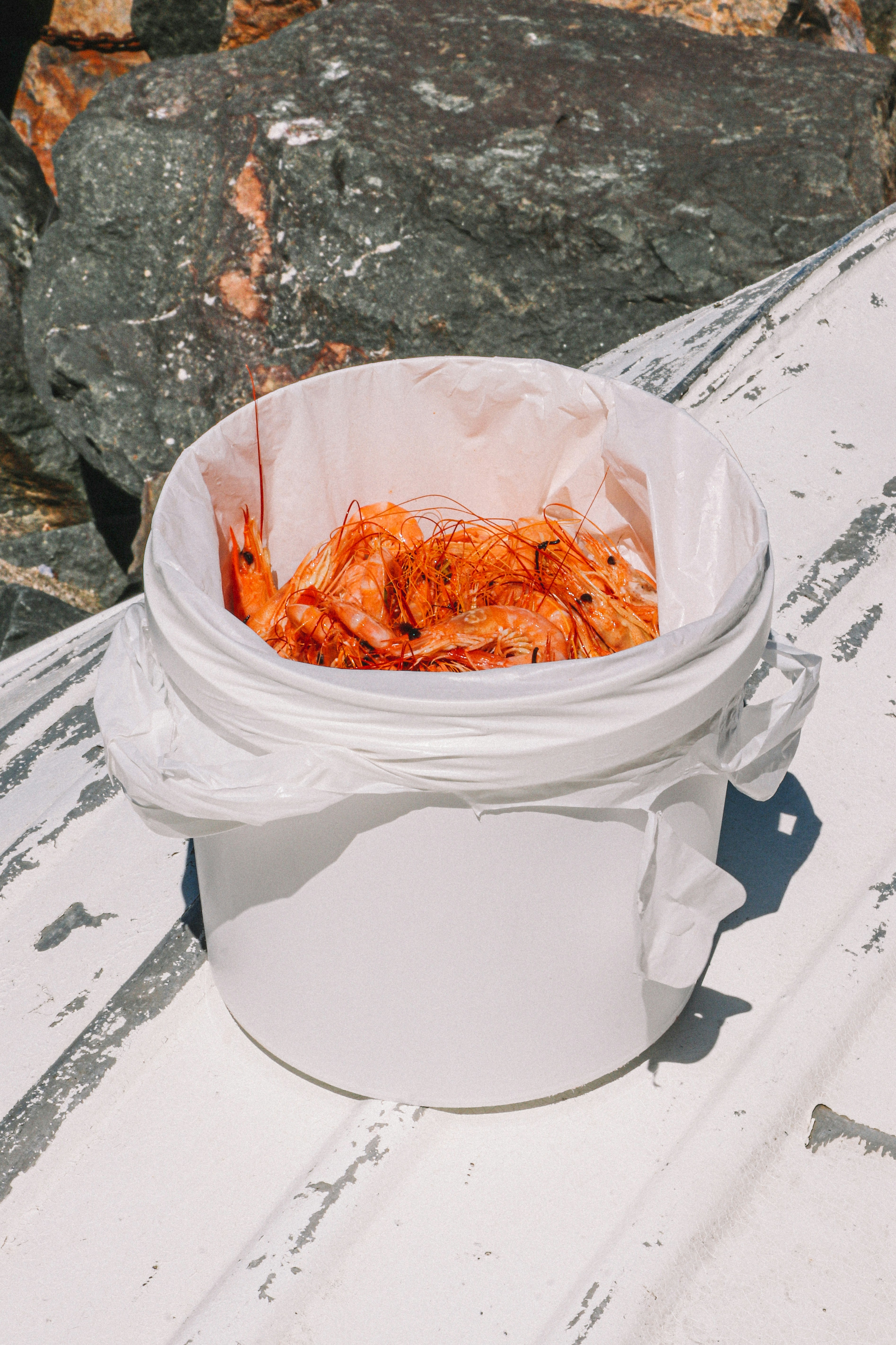 A white bucket filled with cooked shrimp on a boat.