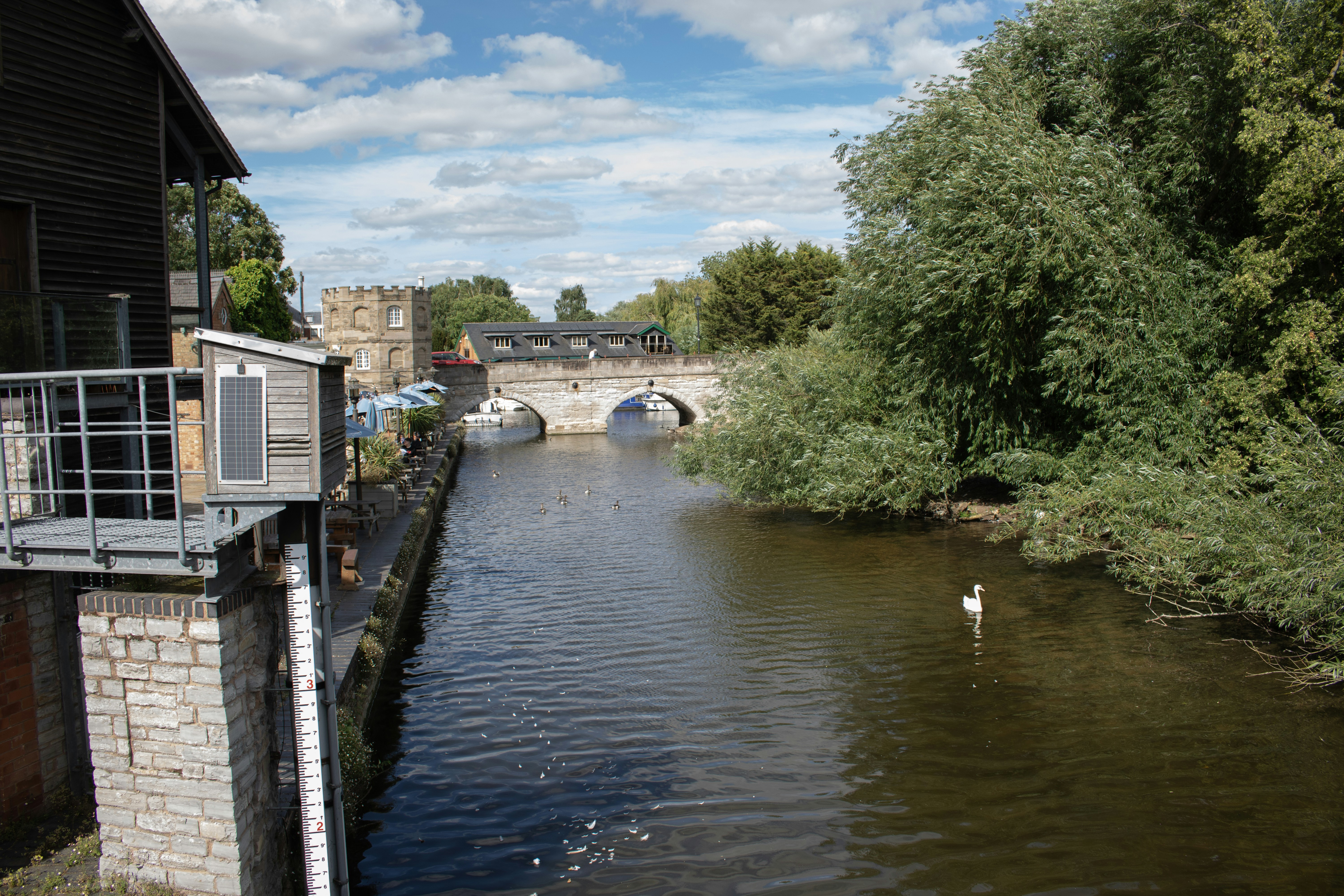Scenic river view with a swan, bridge, and lush trees