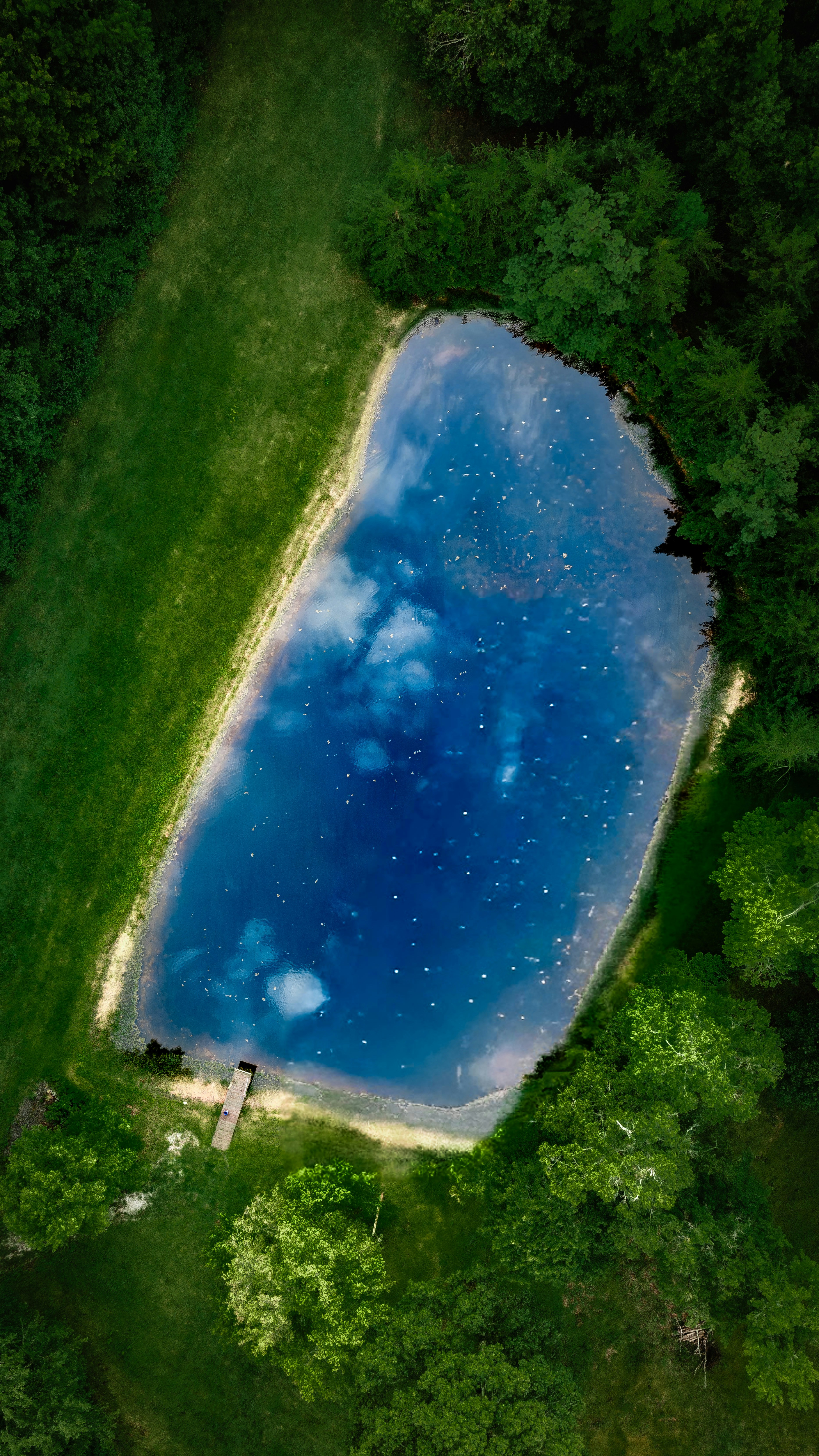 Blue pond with cloud reflections surrounded by green forest.