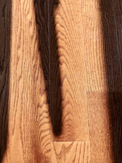 Original hardwood floors in a historic Newport home