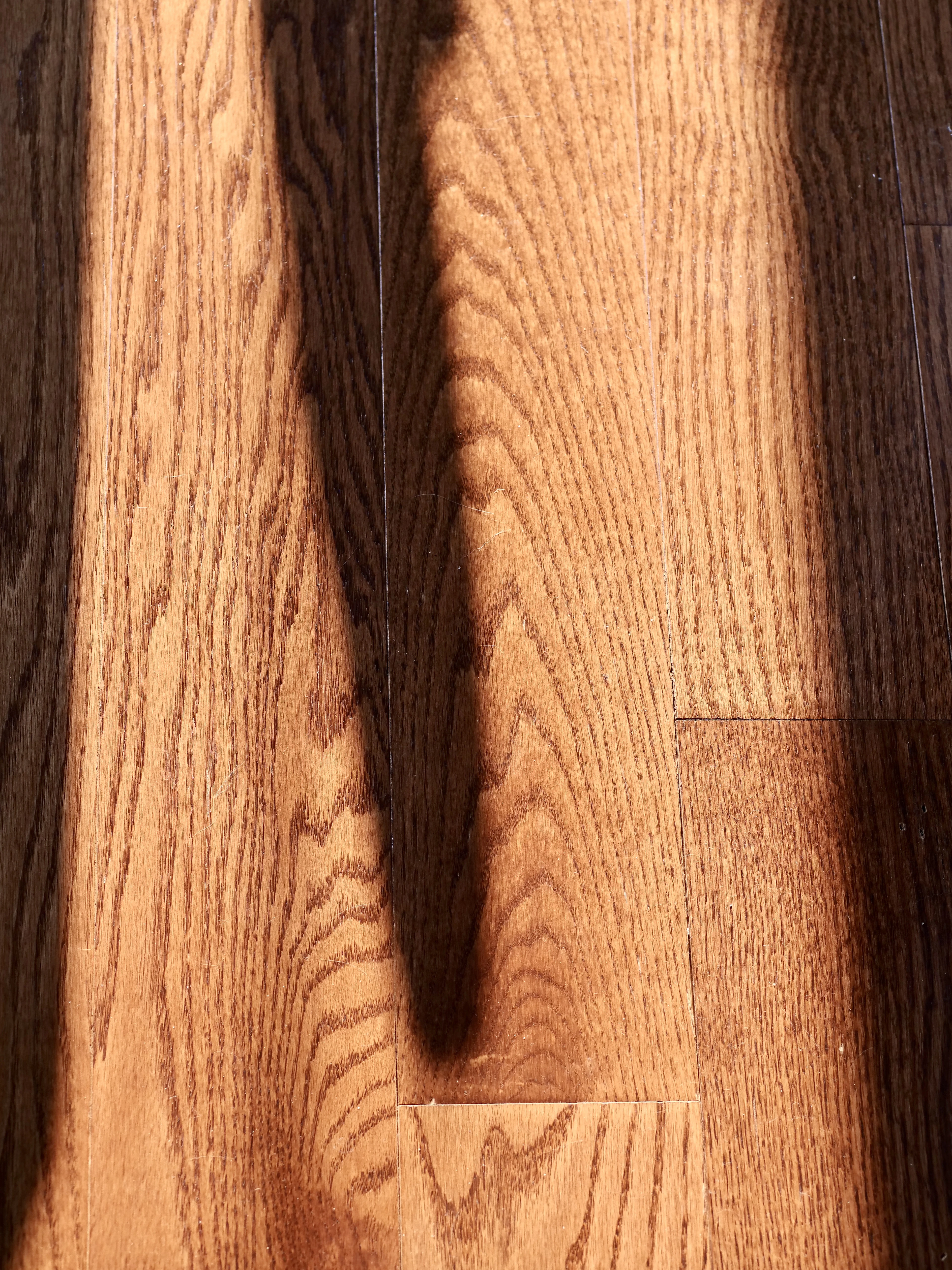 Sunlight on a wooden floor