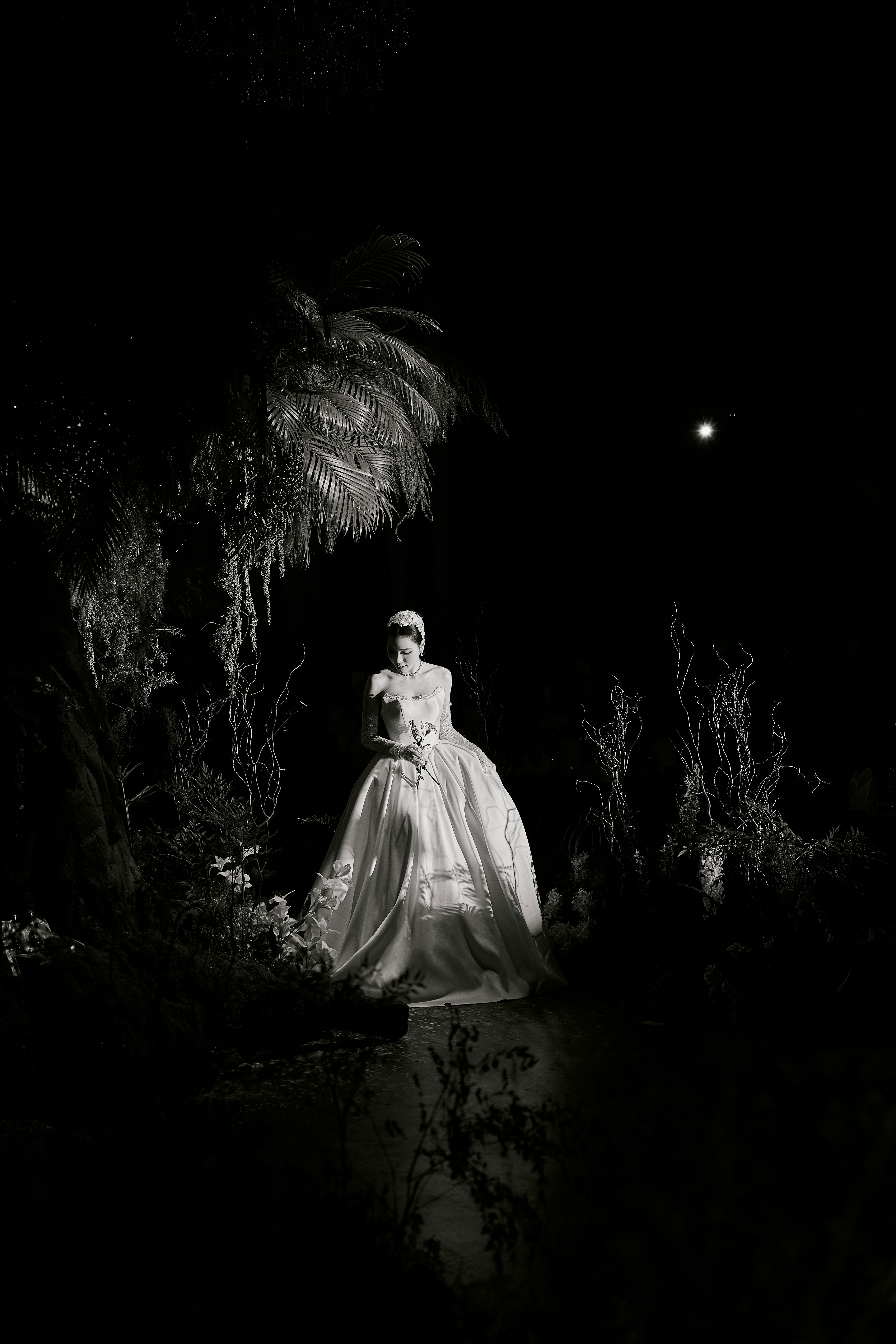 romantic botanical garden wedding, wallpaper, Plan a Garden Wedding: The Ultimate Guide to Outdoor Bliss 3