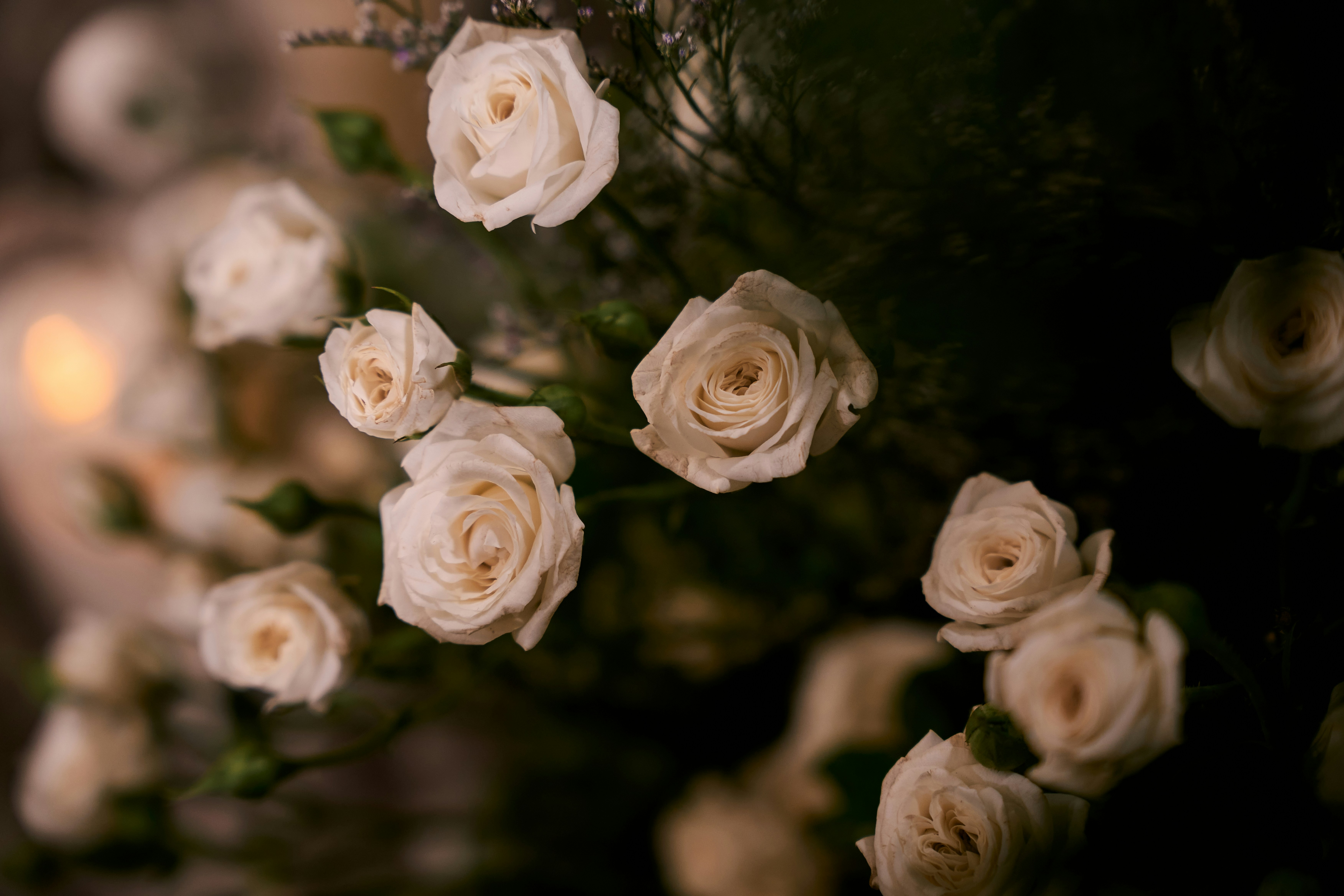romantic garden wedding aesthetic, wallpaper, Simple Garden Wedding Decoration Ideas: Pinterest-Inspired Guide 3