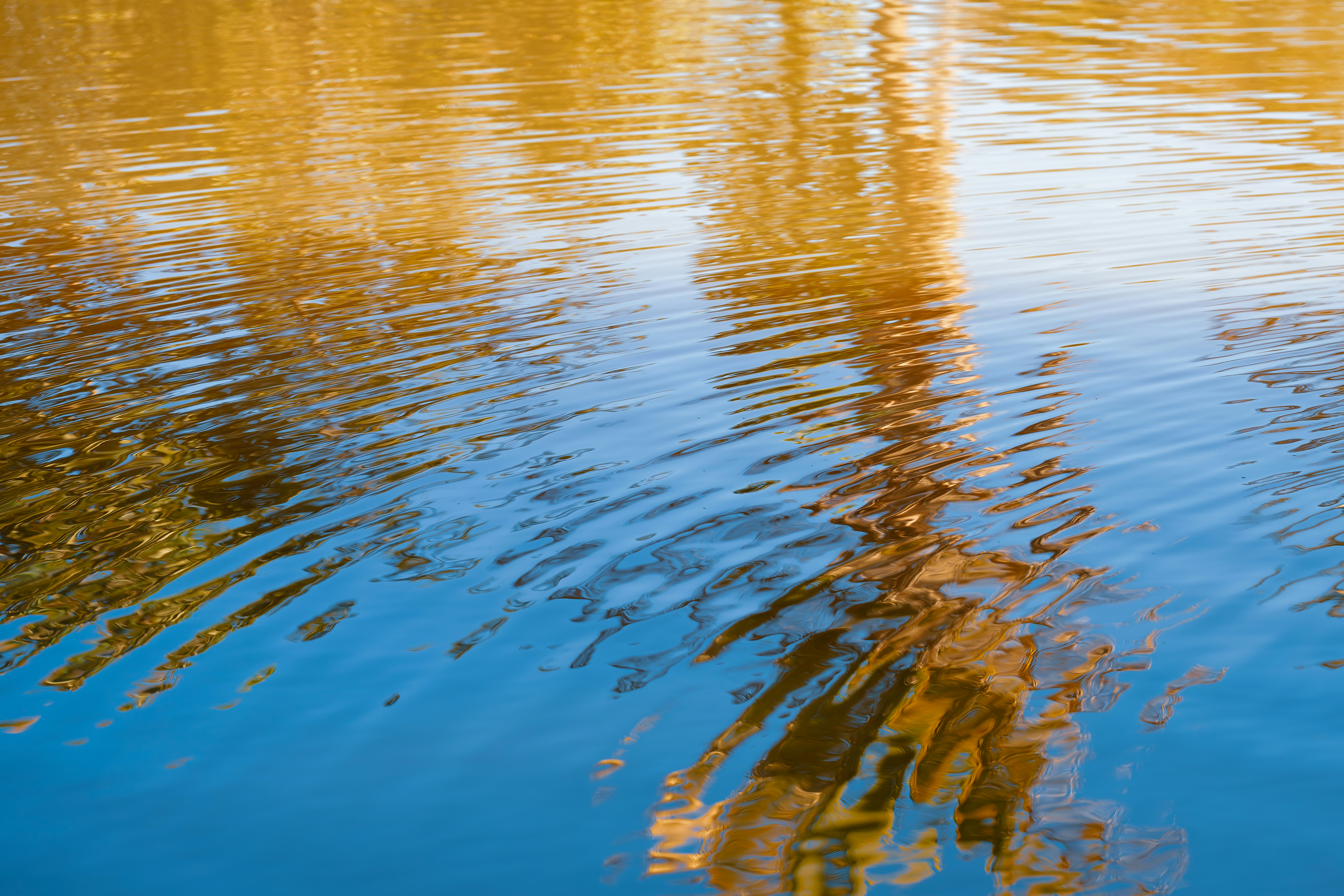 Golden autumn reflections on rippled blue water