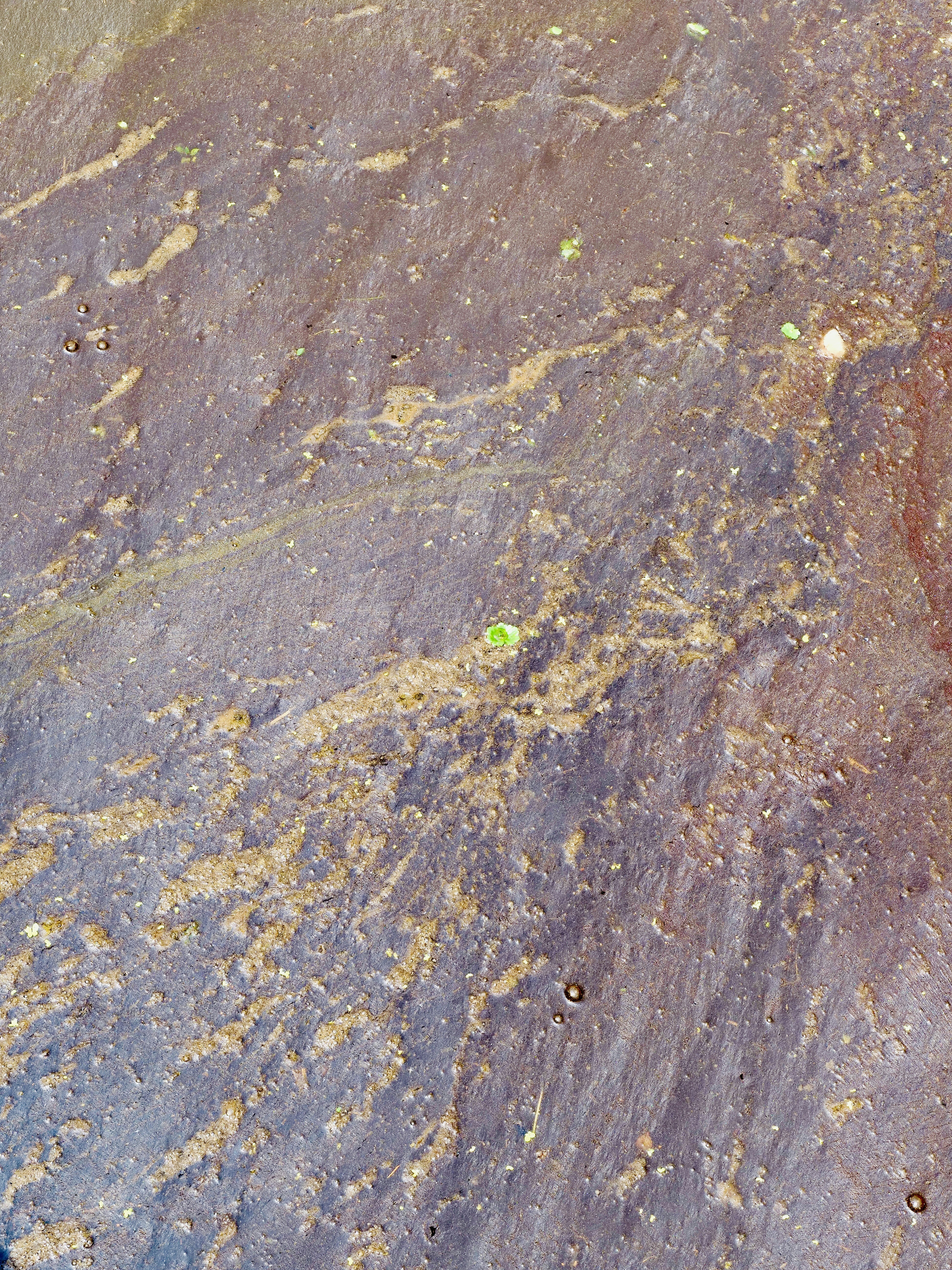 Fond à texture foncée avec des stries brun clair et des taches vertes