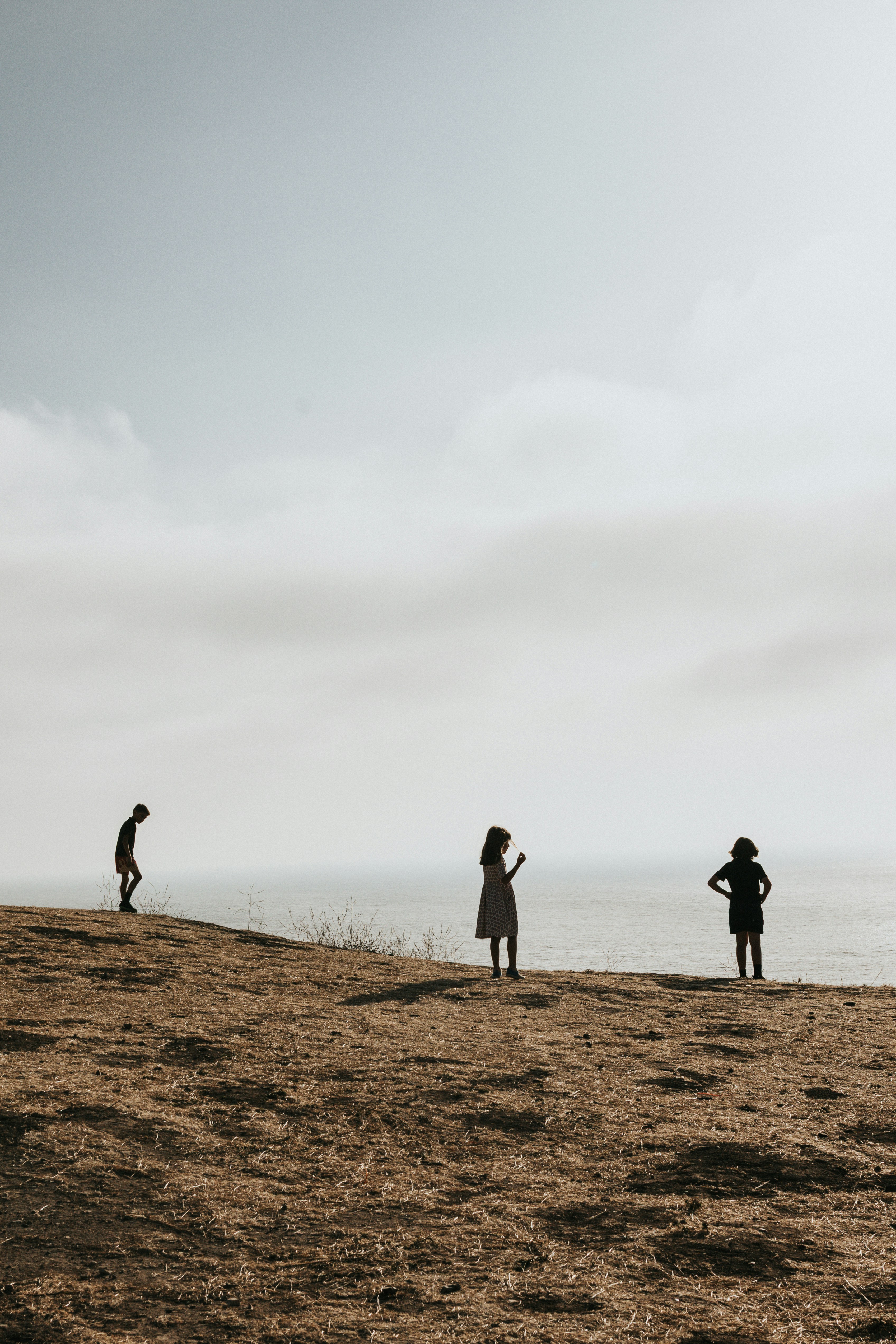 Three children silhouetted on a hill overlooking the ocean.