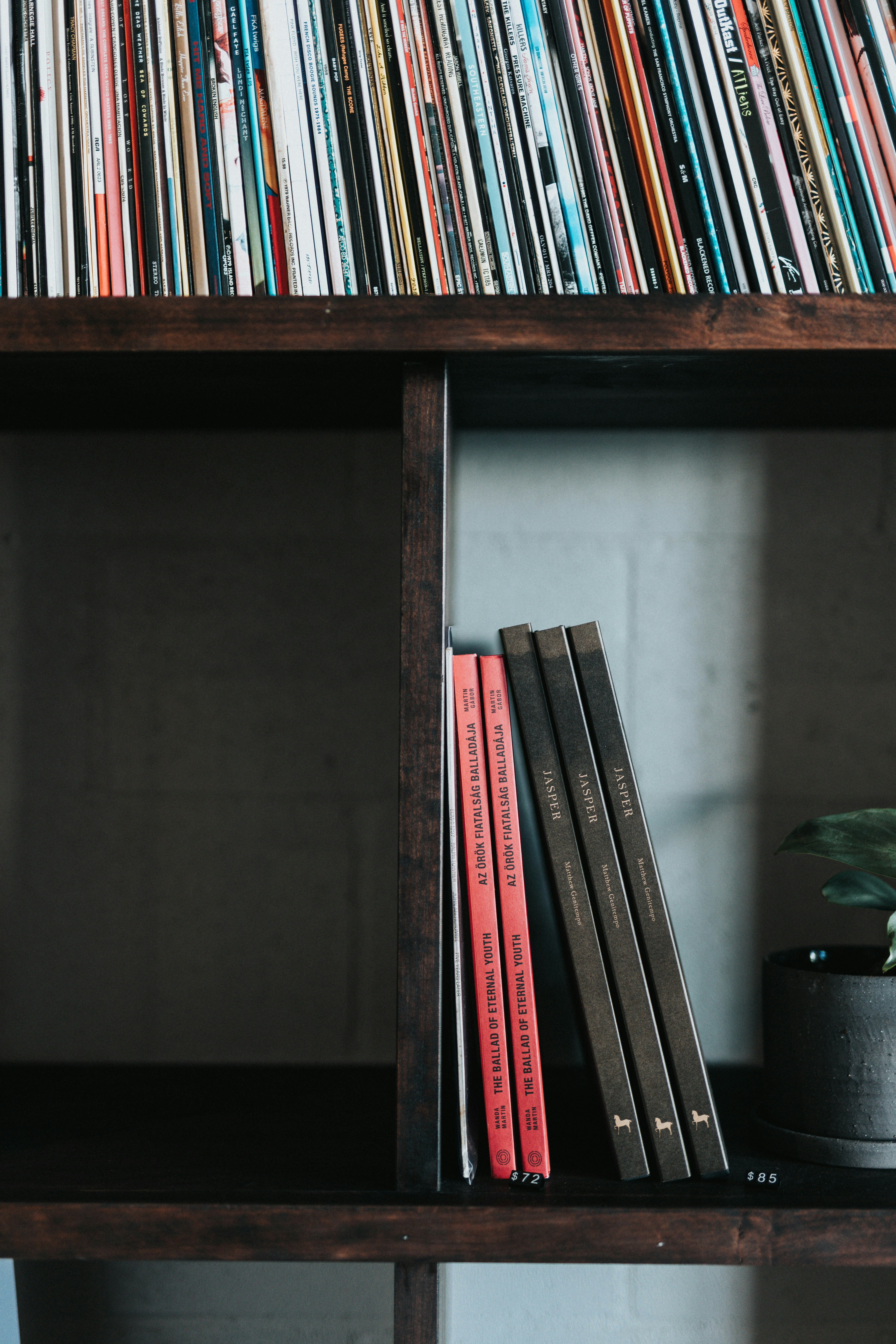 Vinyl records and books on a wooden shelf.
