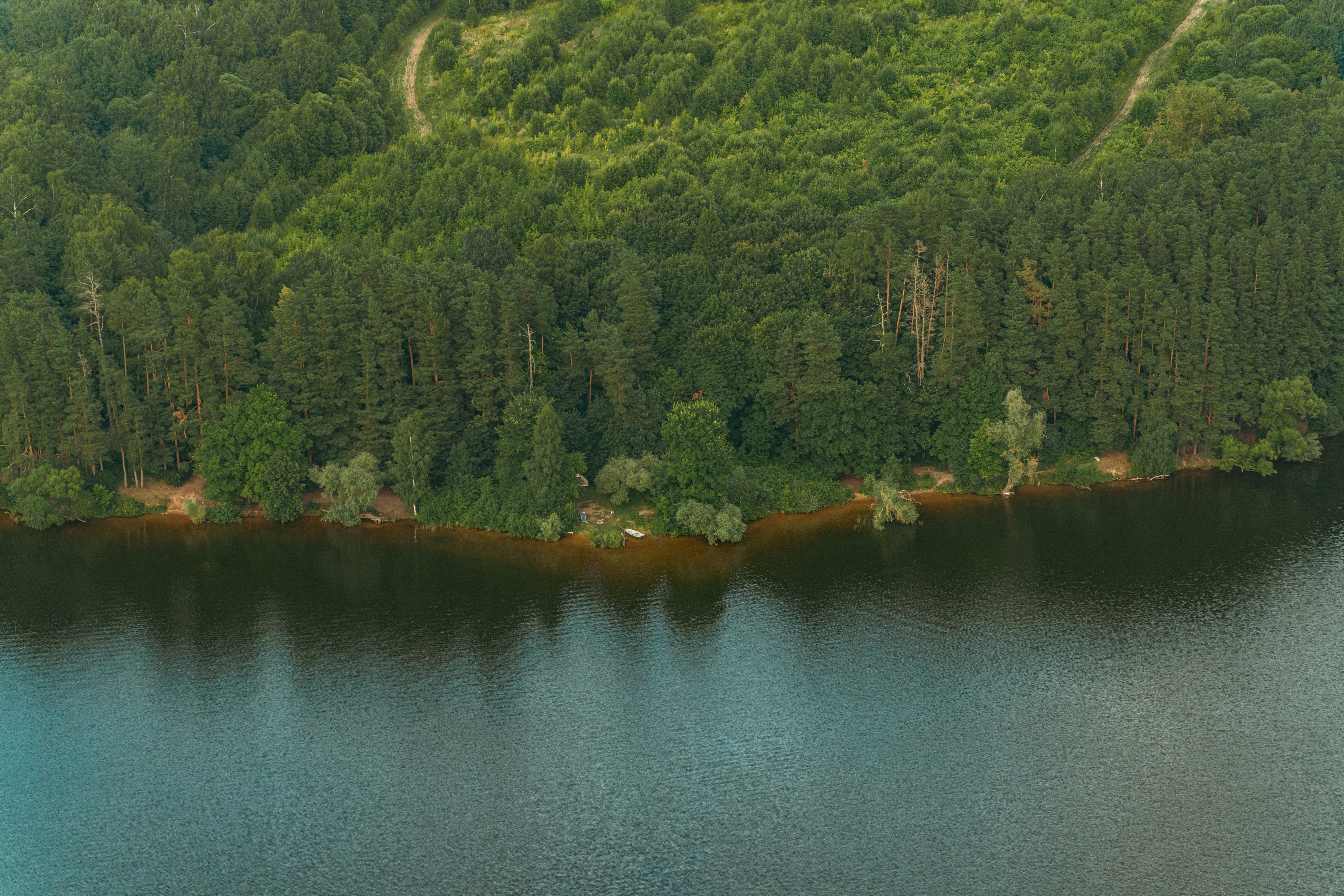 Ein ruhiger See, der einen dichten grünen Wald widerspiegelt.