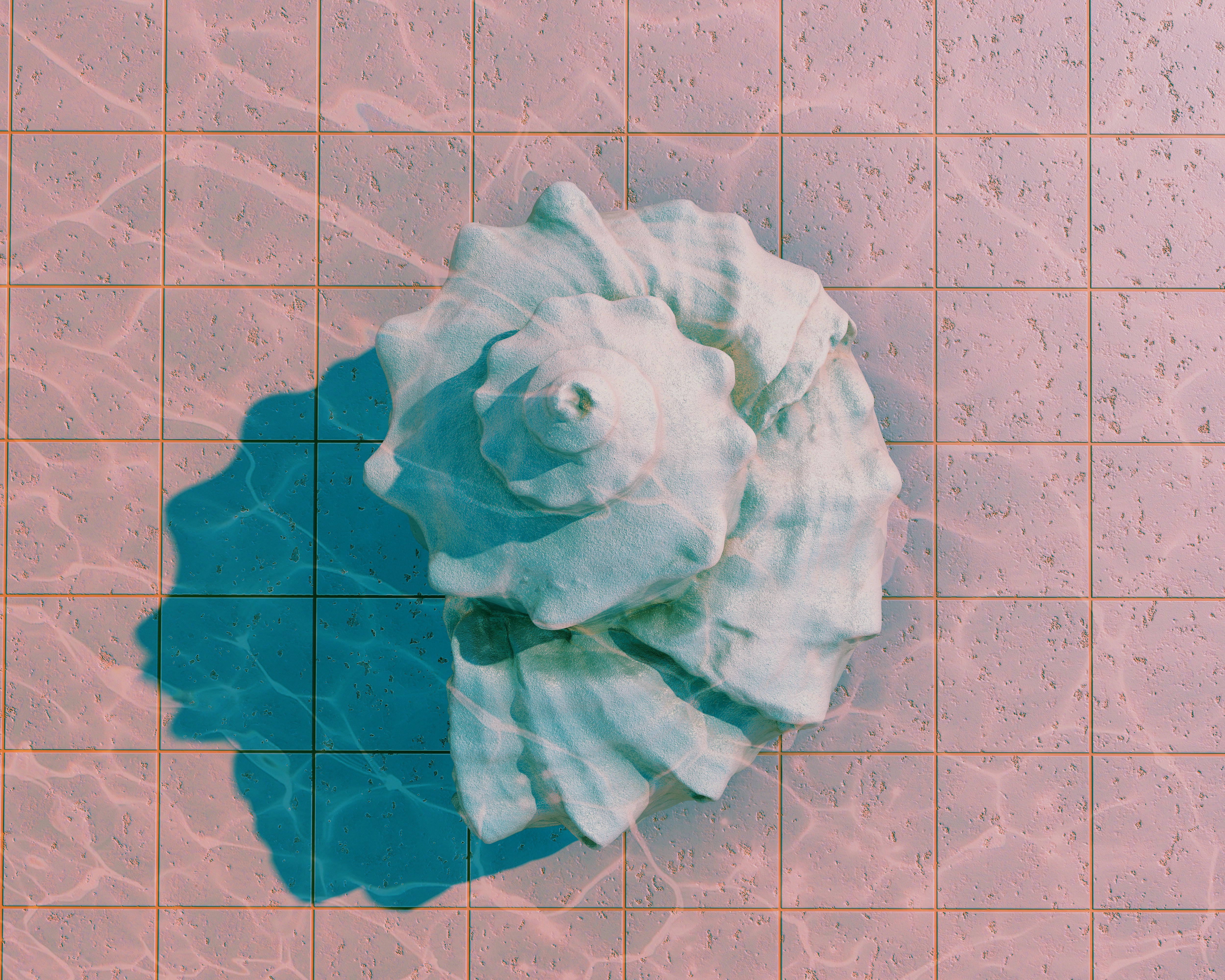 Conch shell on pink tiles with summer water ripples