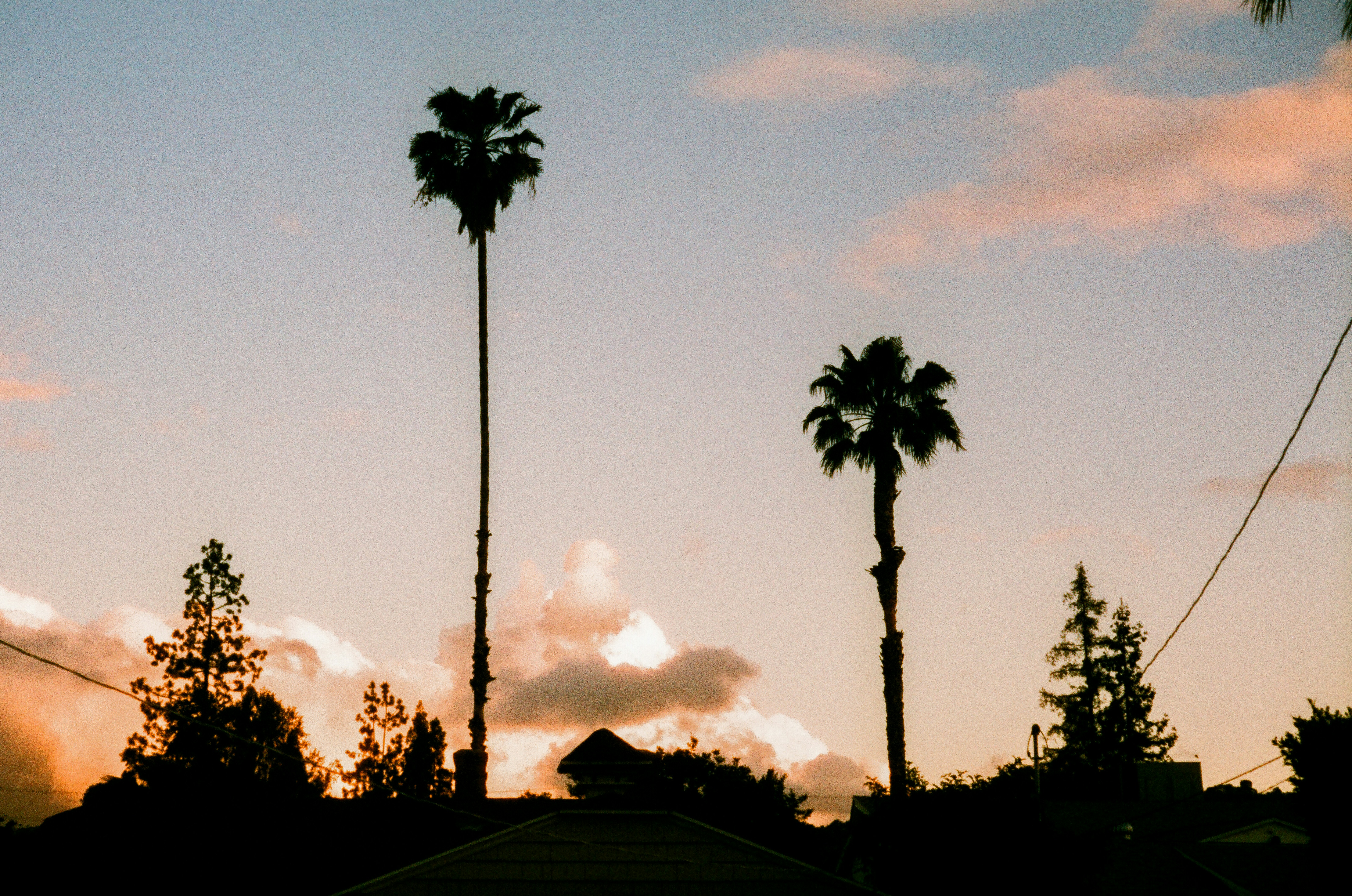 Silhouetted palm trees against a colorful sunset sky with clouds